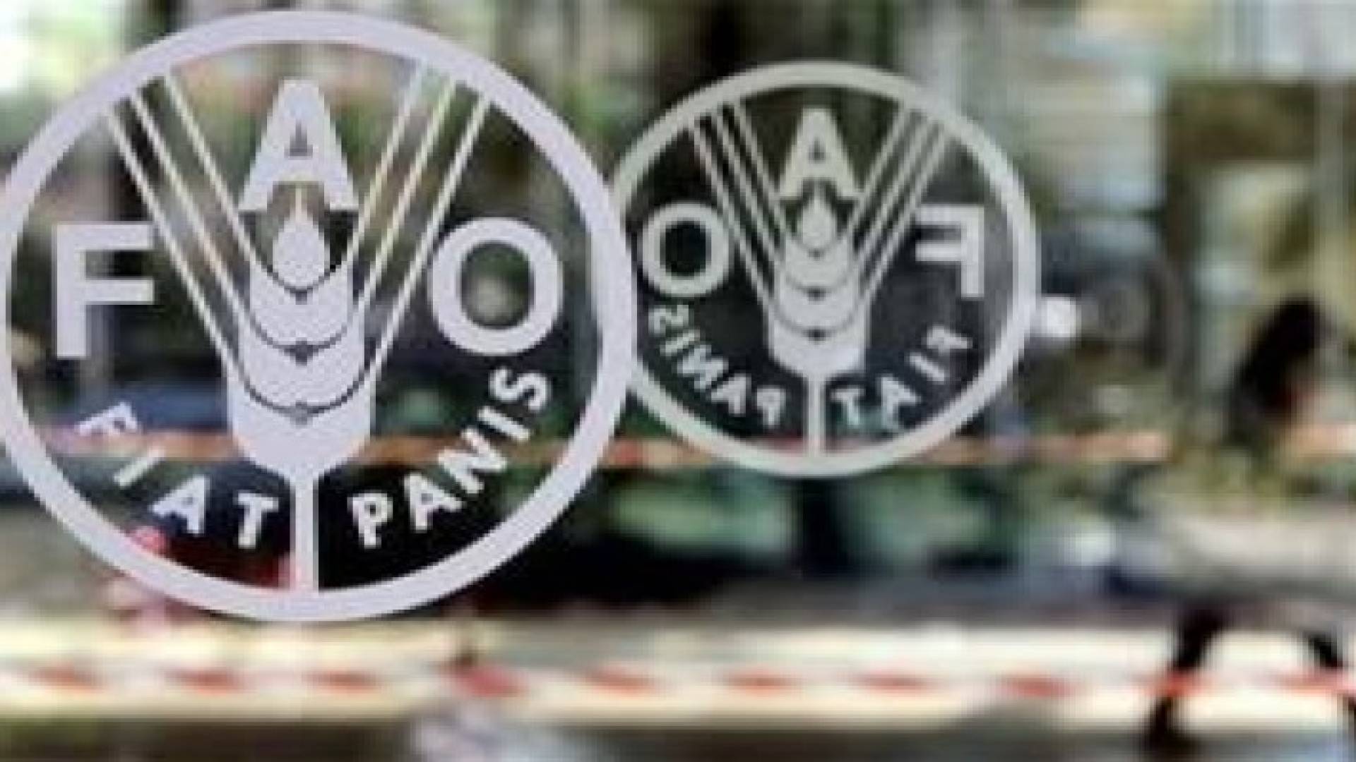 الفاو: توقعات بانخفاض أسعار السلع الغذائية او استقرارها لوفرة المخزون