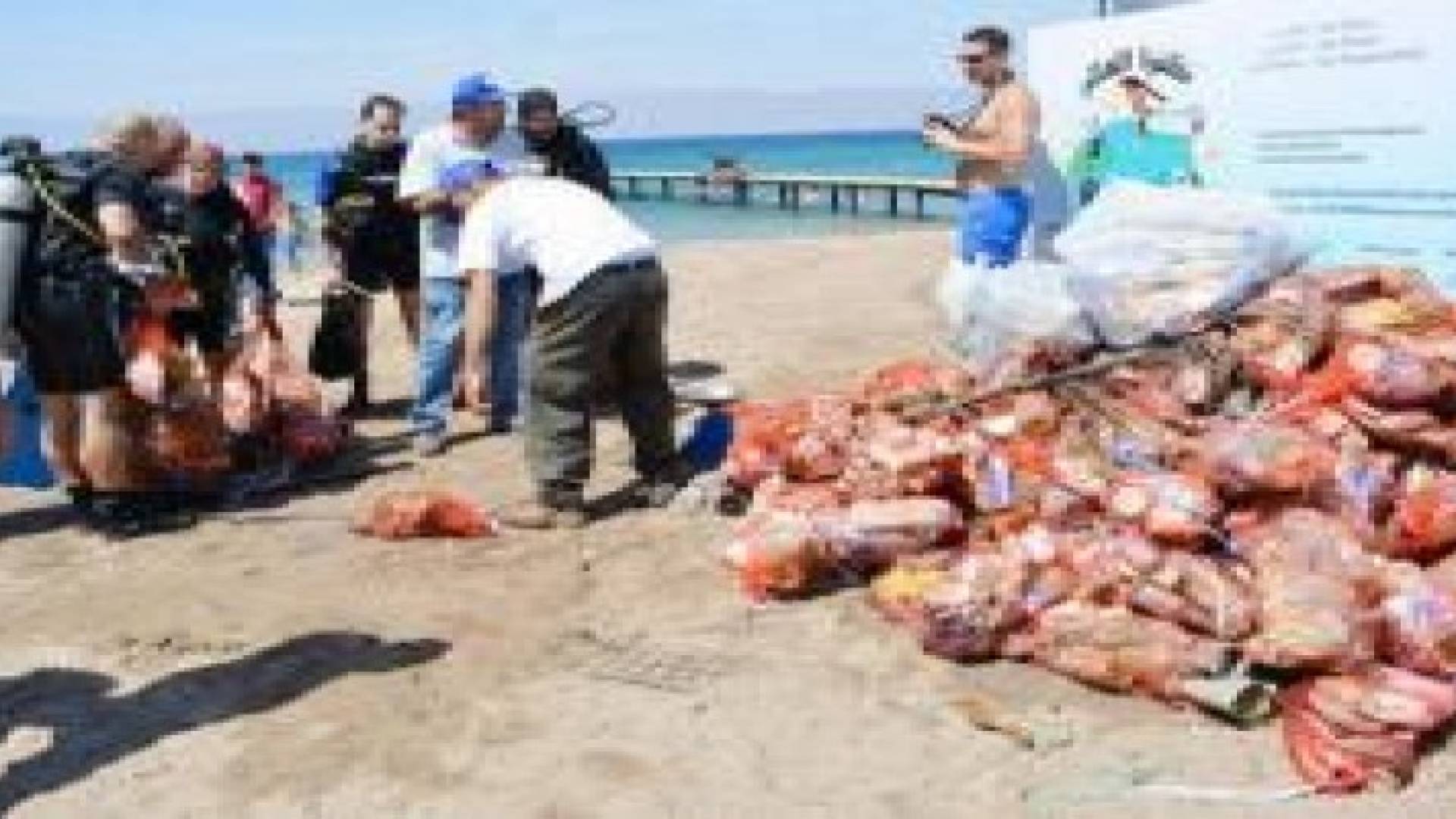 7 آلاف طن نفايات ألقيت في شواطئ العقبة العام الماضي