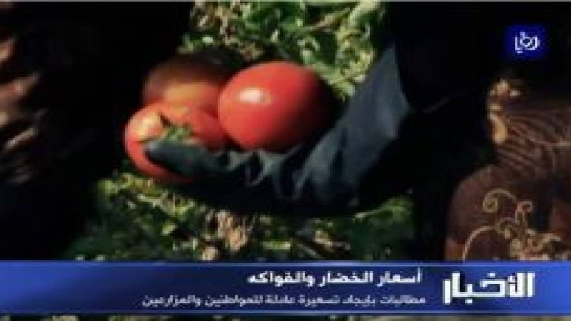 ملف الأسبوع: أسعار الخضار والفواكه .. معادلة عصية على الحل