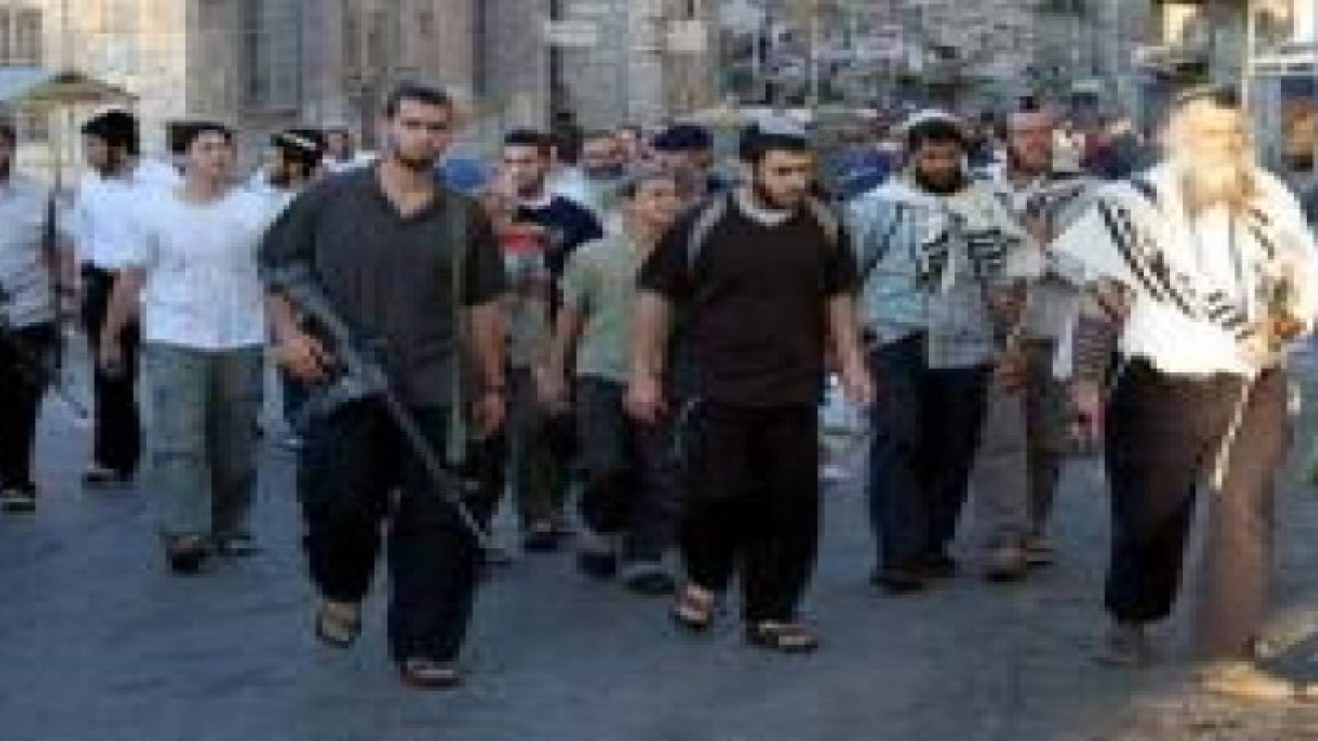 مستوطنون يهاجمون منازل فلسطينيين شرق الخليل