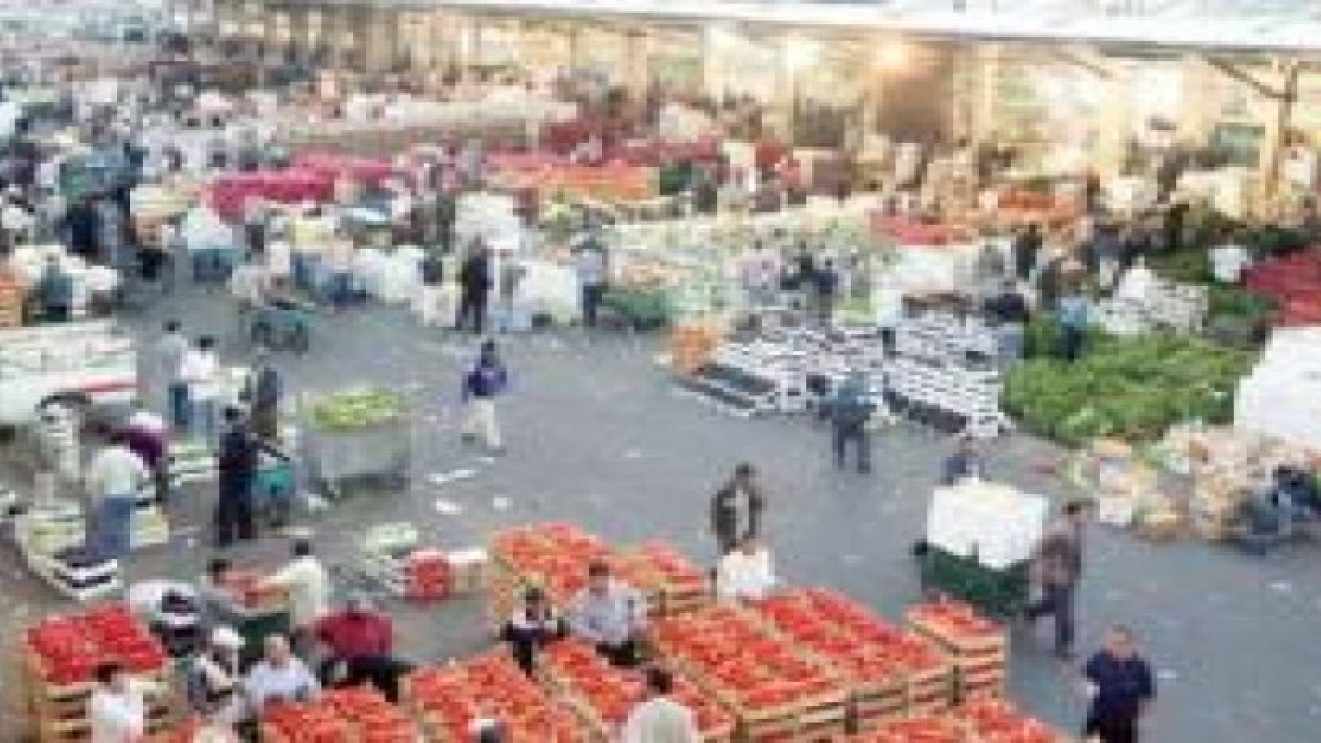 سوق العارضة المركزي: بدء استقبال المنتجات الزراعية الجمعة