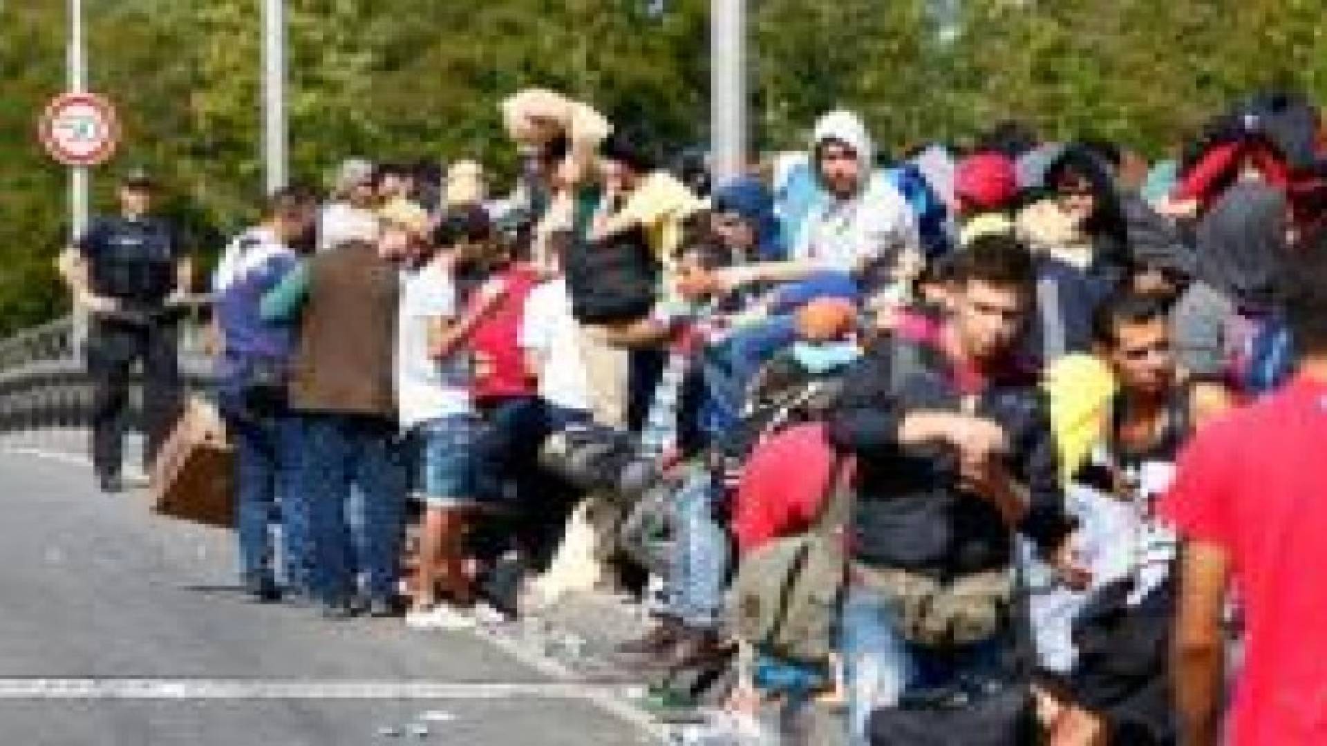 نحو 600 ألف لاجئ وصلوا إلى أوروبا منذ بداية العام