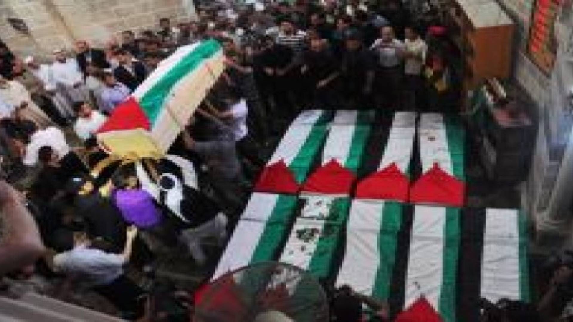 فلسطين: 29 شهيدا و 1450 مصابا منذ بداية الشهر الجاري