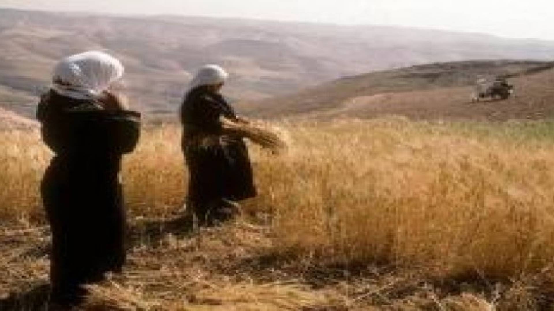 "الوطني لحقوق الإنسان " وضع المرأة الريفية يهدد التنمية
