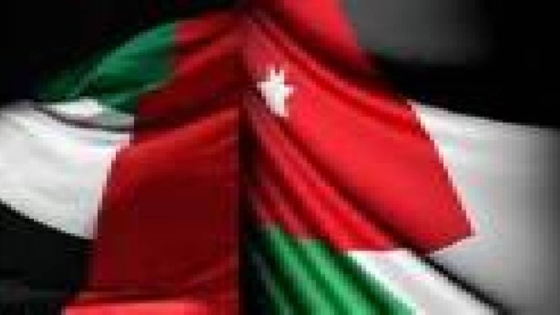 رجال أعمال أردنيون وإماراتيون يبحثون إقامة شراكات استثمارية