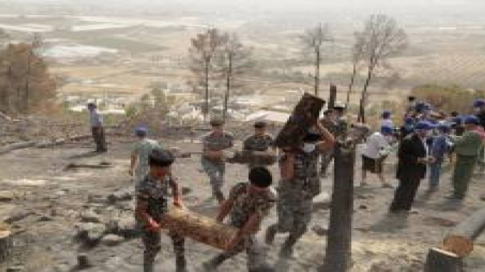 400 فرد من الدرك يشاركون بترميم غابة عراك