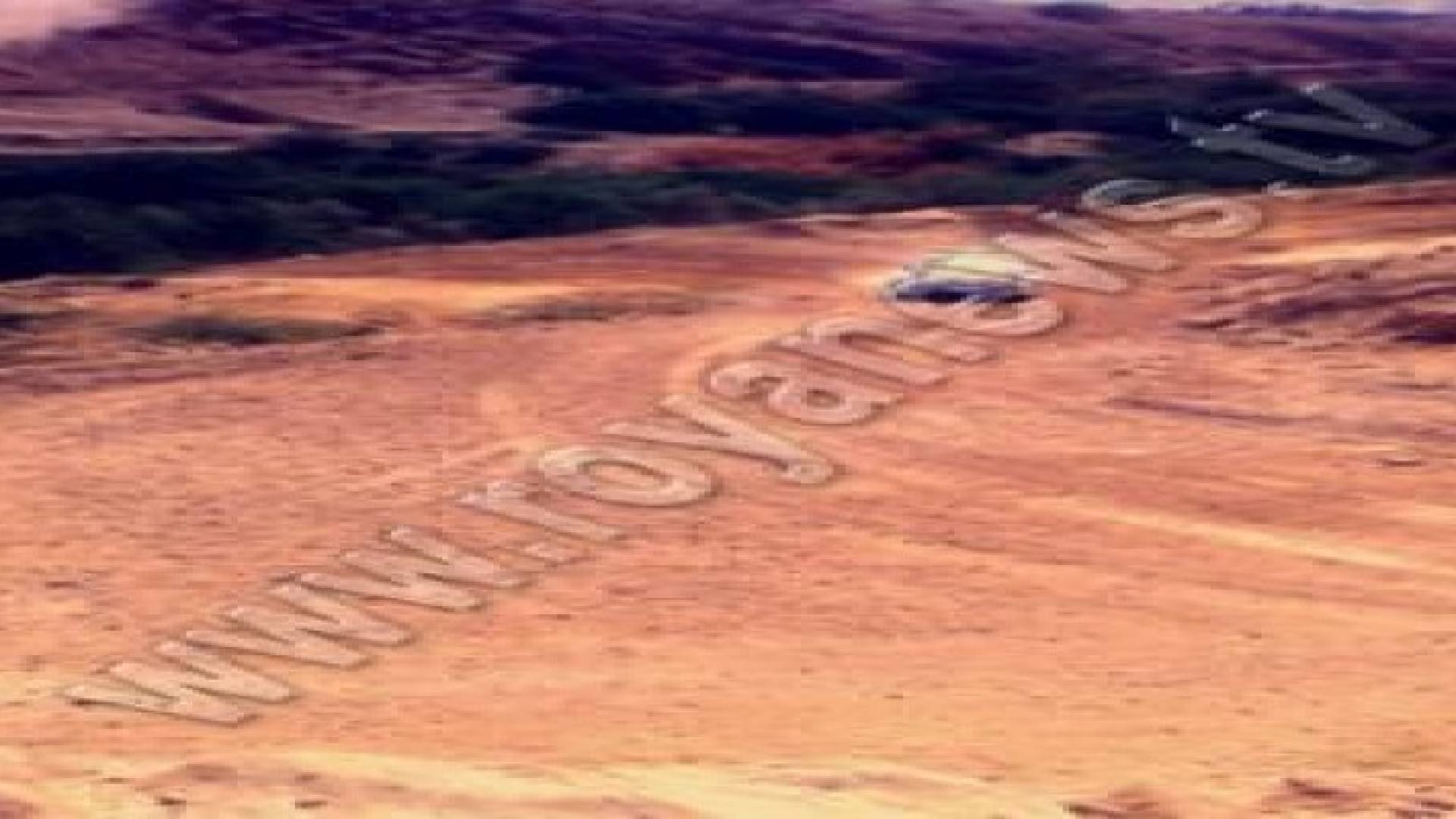 العطية يفوز برالي الأردن والبطولة معا.. صور
