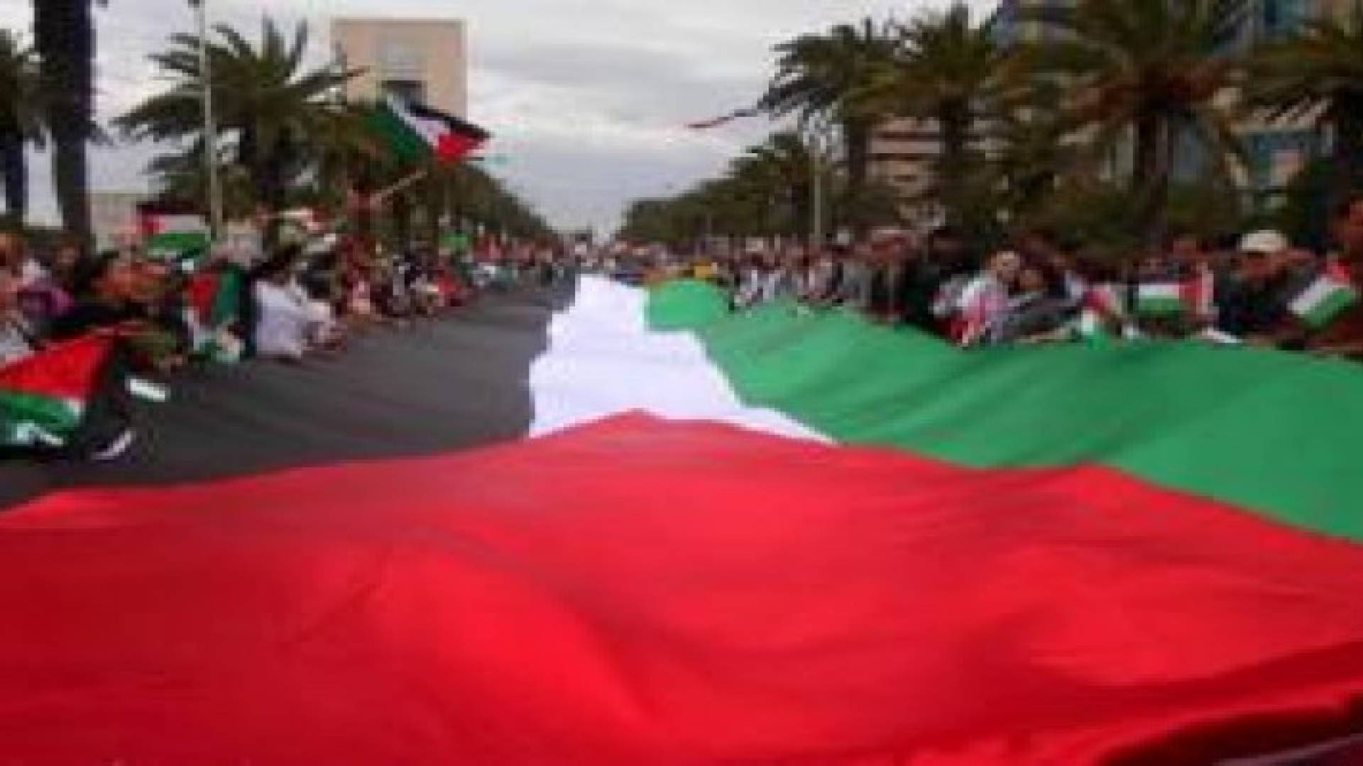 مسيرة بالعاصمة تونس تضامنا مع الشعب الفلسطيني