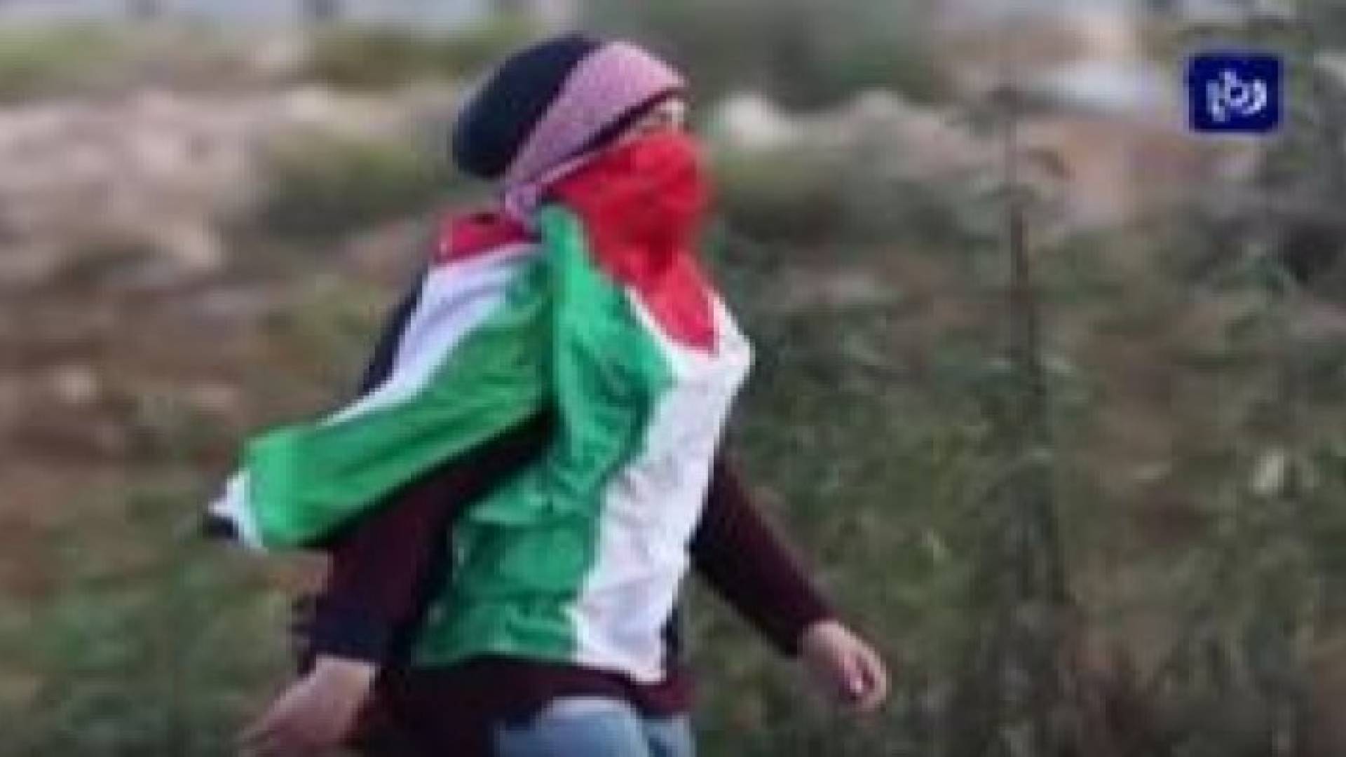 بالفيديو: "رمزية الحياة والشهادة" في احداث فلسطين المحتلة