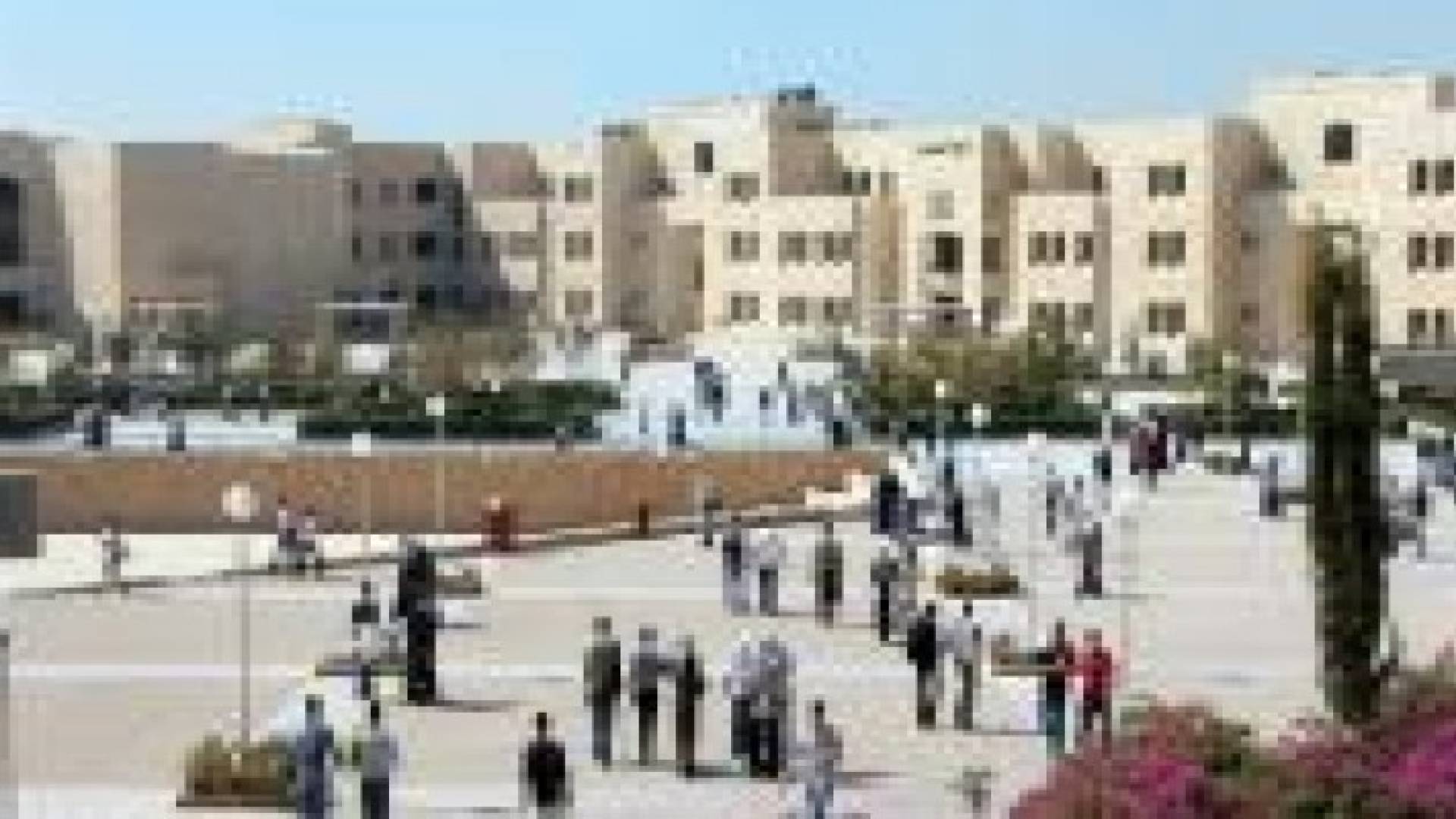 الجامعة الهاشمية تنظم وقفة تضامنية مع الشعب الفلسطيني