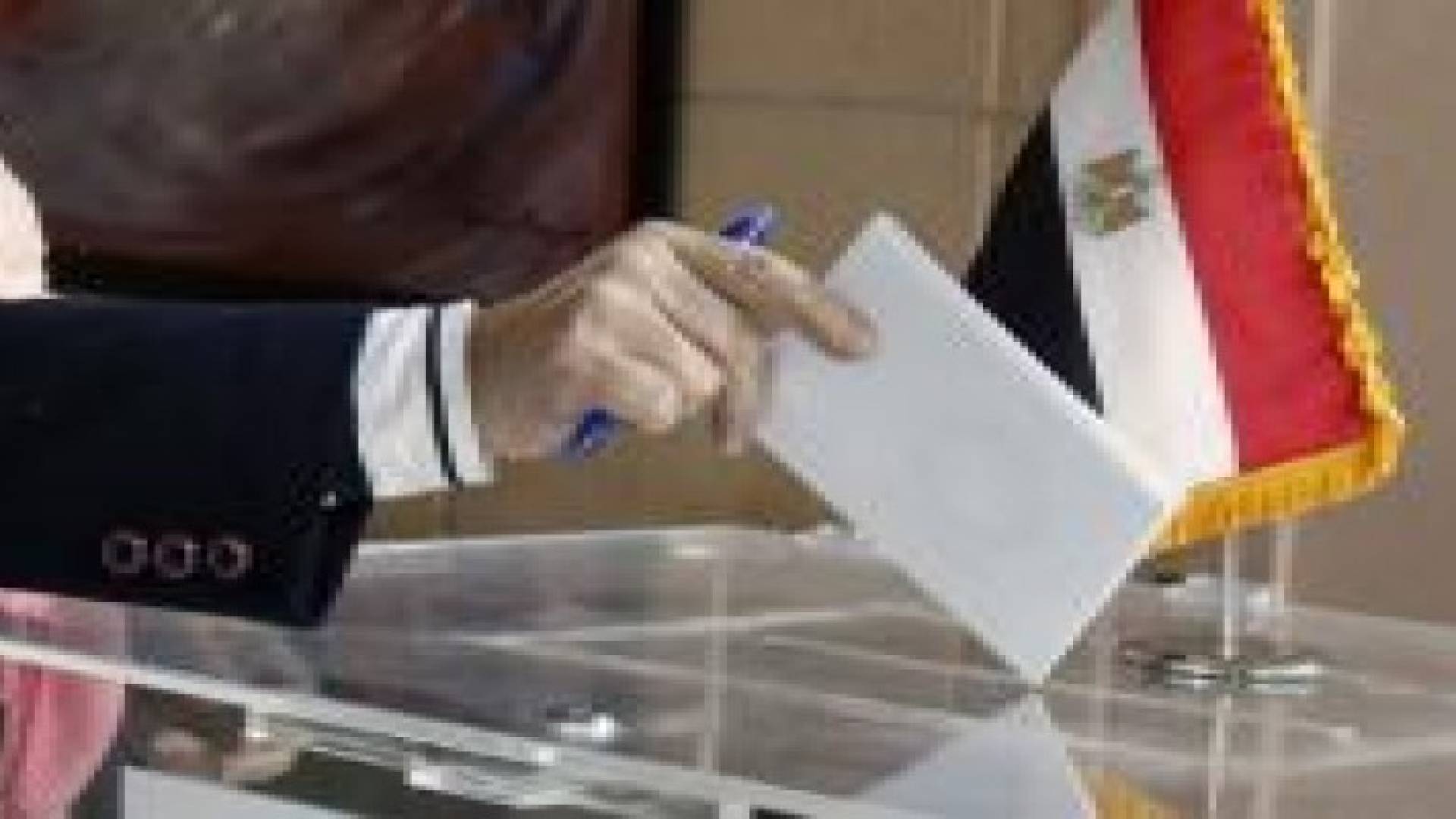 الجامعة العربية تراقب الإنتخابات النيابية المصرية