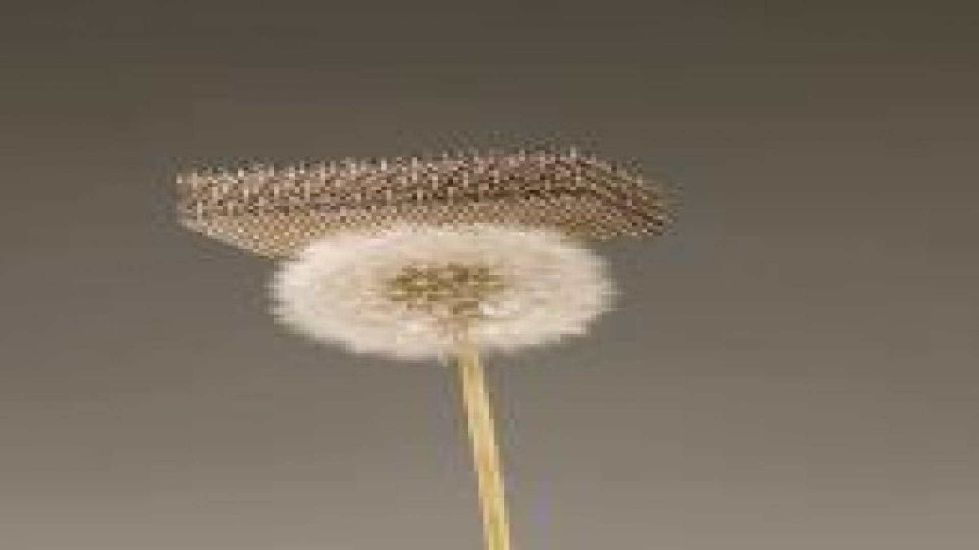 بالفيديو:  إنتاج المعدن الأخف وزنا في العالم