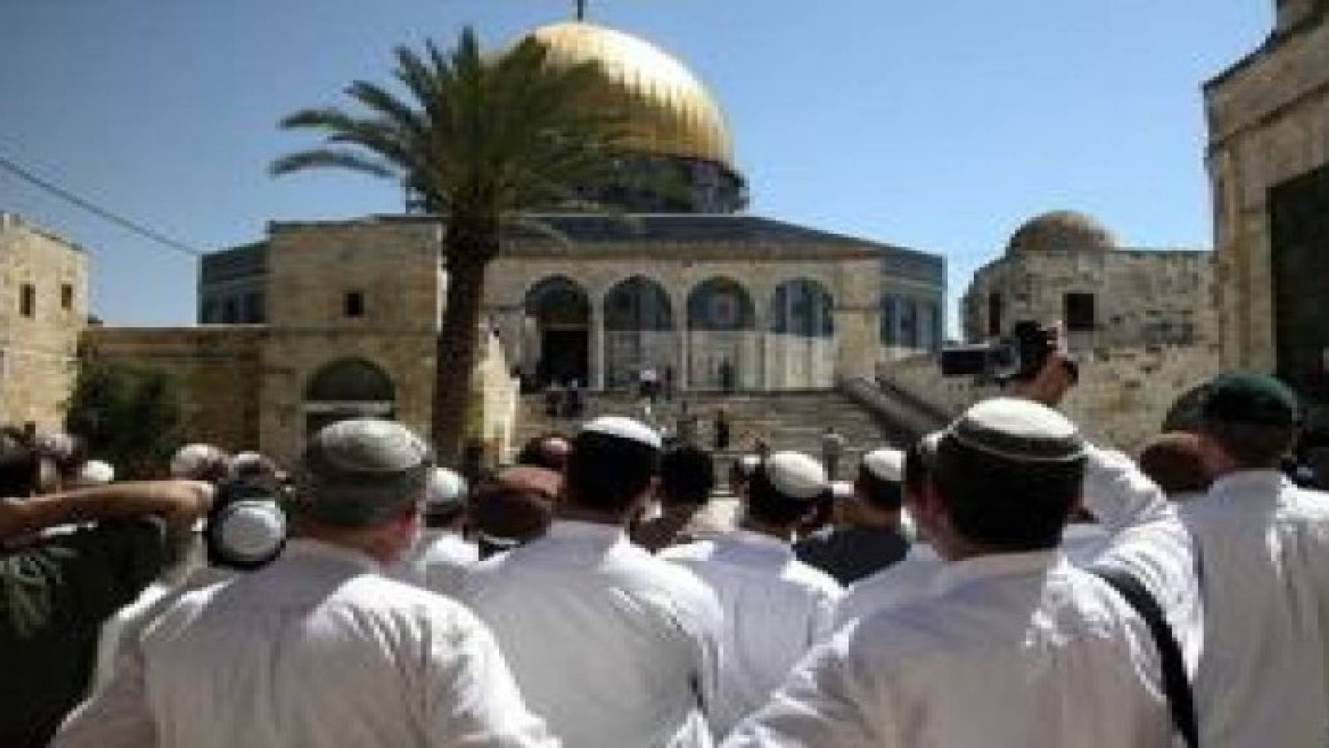 مواجهات عنيفة في راس العامود واعتقال فتاة خلال اقتحام مستوطنون لباحات "الأقصى"
