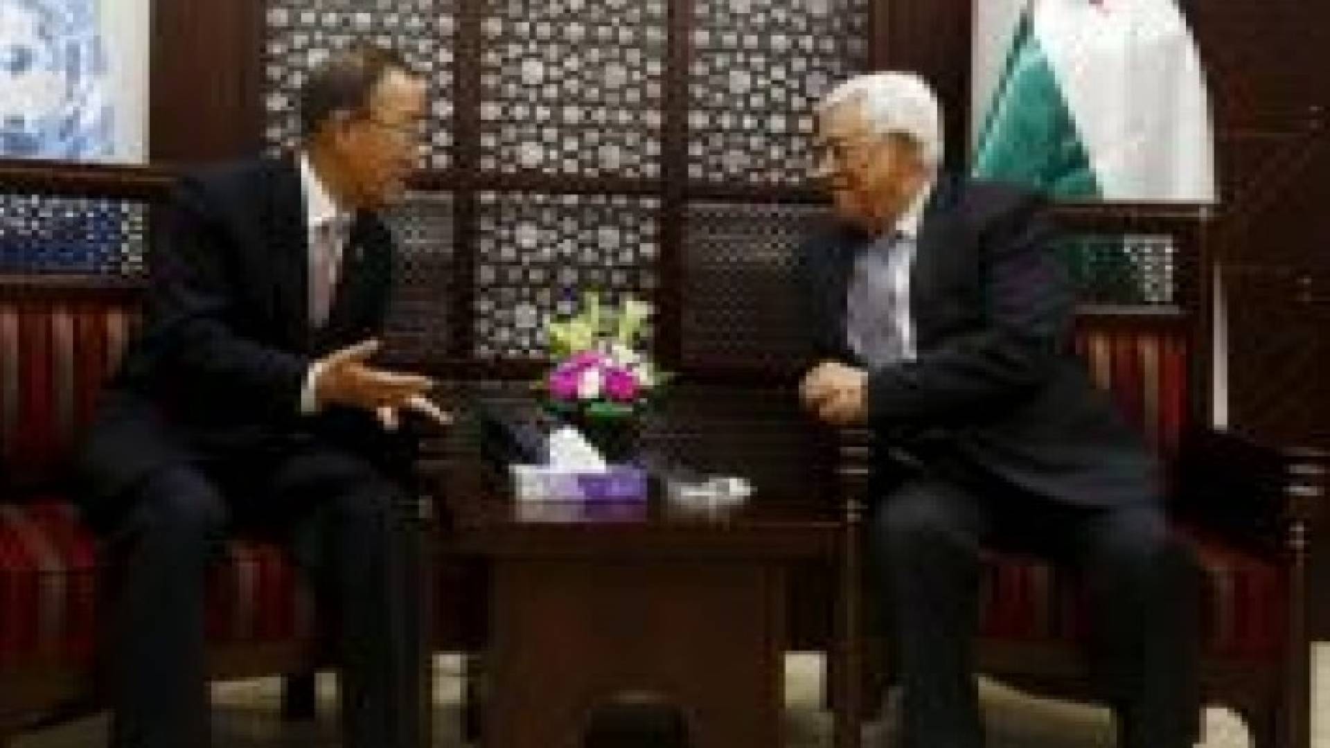 الامم المتحدة تنشر ملخصا لانظمة حماية دولية سابقة بناء على طلب فلسطيني