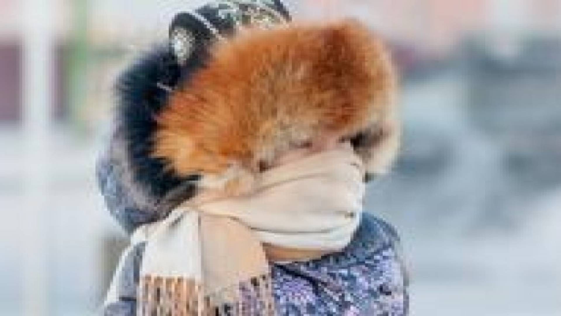 العلماء يحذرون من مرحلة برد ستستمر 60 سنة