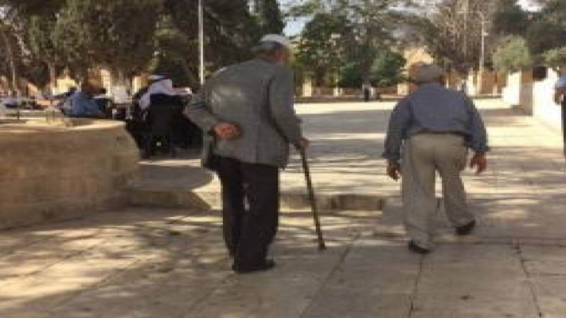 تشديدات على دخول المصلين للأقصى ومستوطنون يقتحمونه