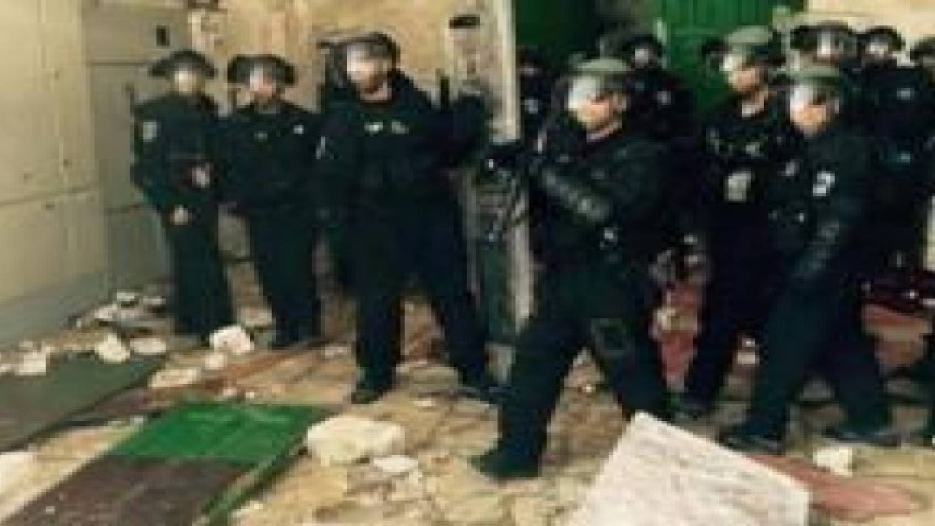 مطالبة دولية واسعة بوضع فلسطين تحت الحماية الدولية