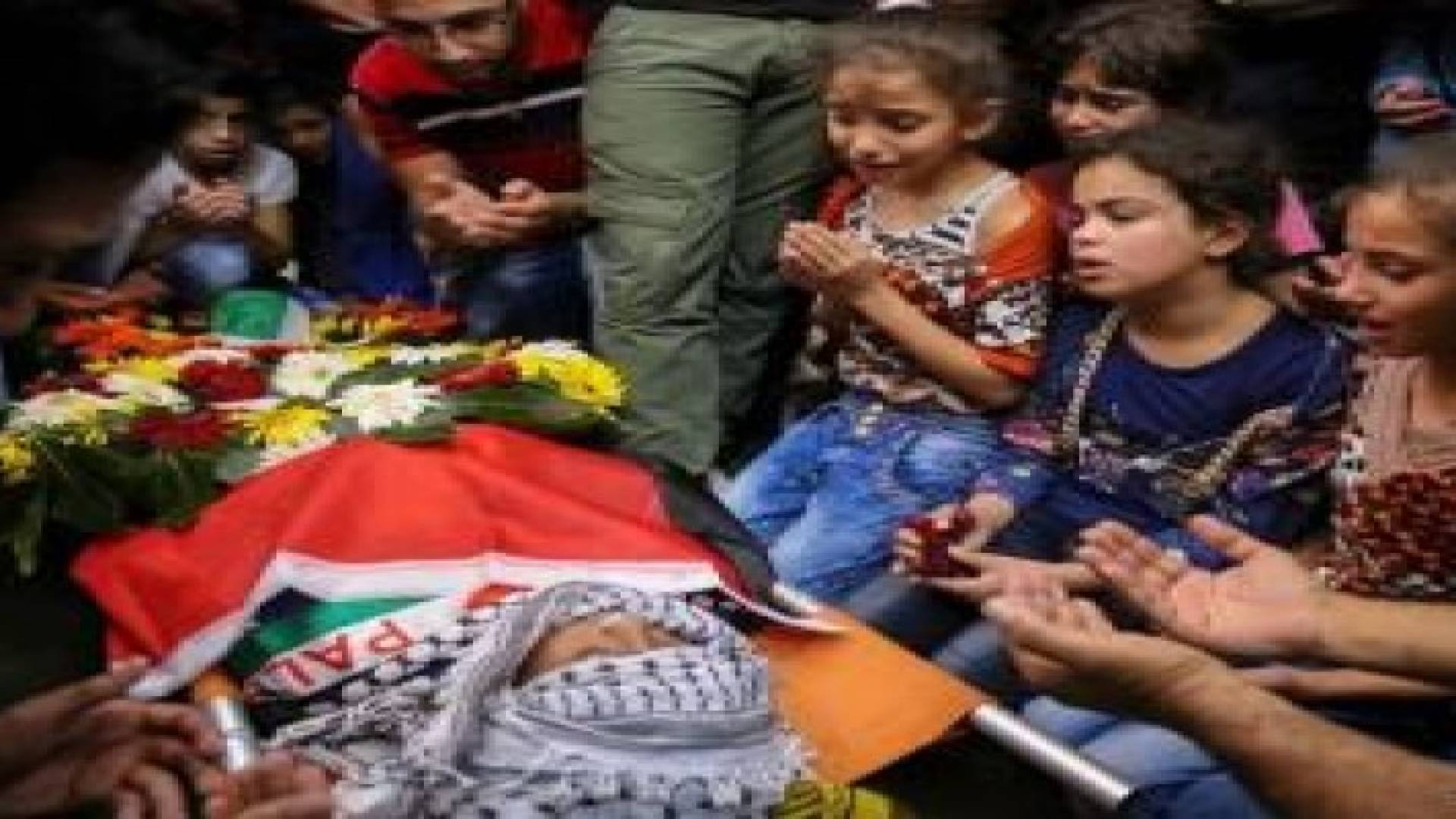 بالأسماء: 55  شهيدا منذ بداية "انتفاضة فلسطين"