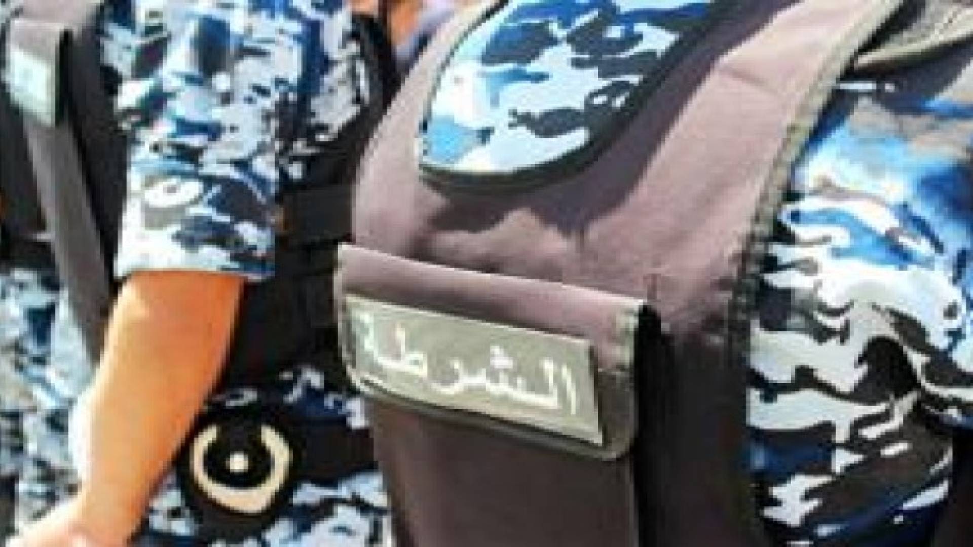 الأمن العام: قاعدة بيانات الانتربول على المعابر الحدودية قريبا