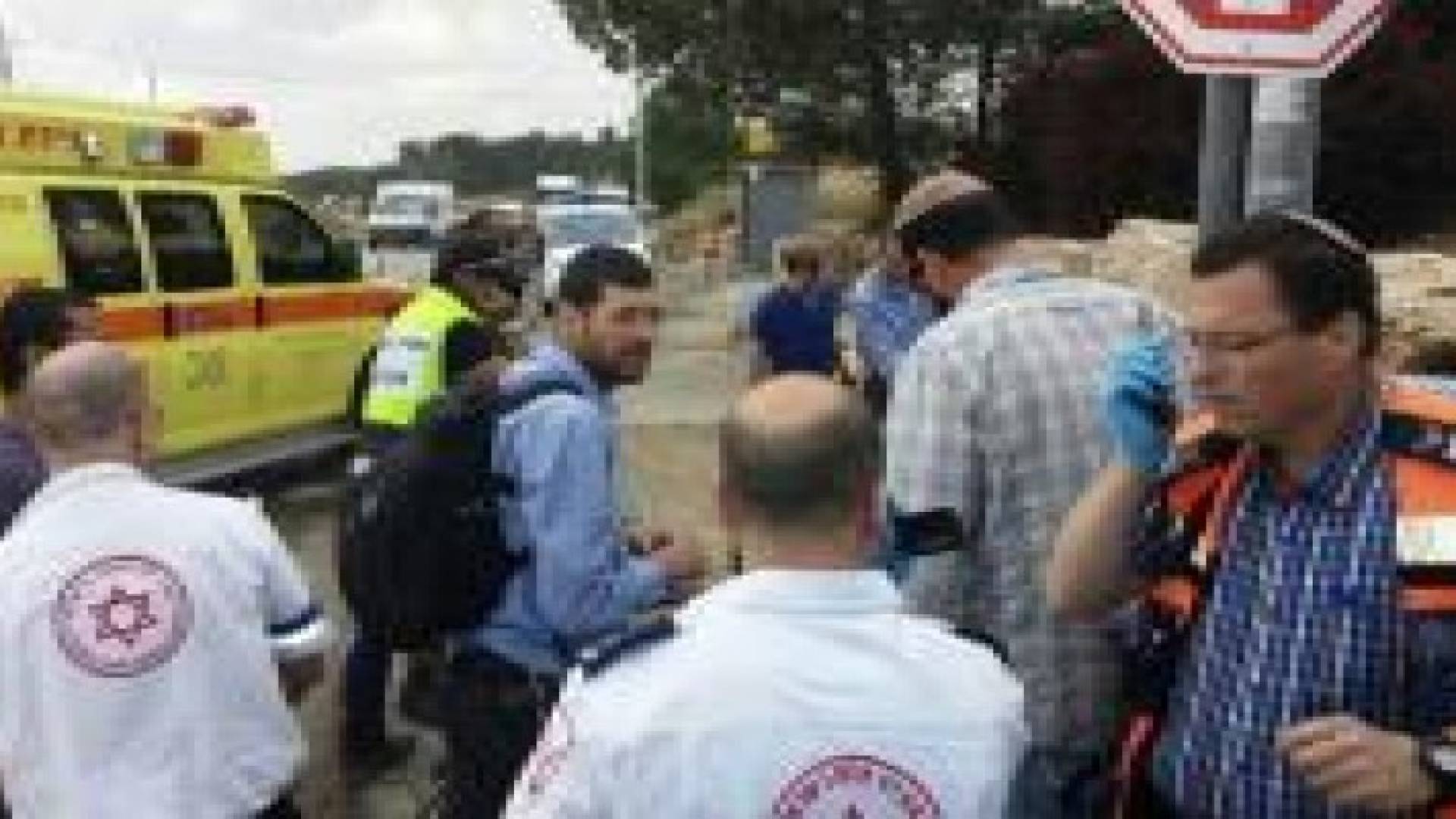 مستوطن يطلق النار على فلسطيني في واد سعير بالخليل أثناء قطفه ثمار الزيتون