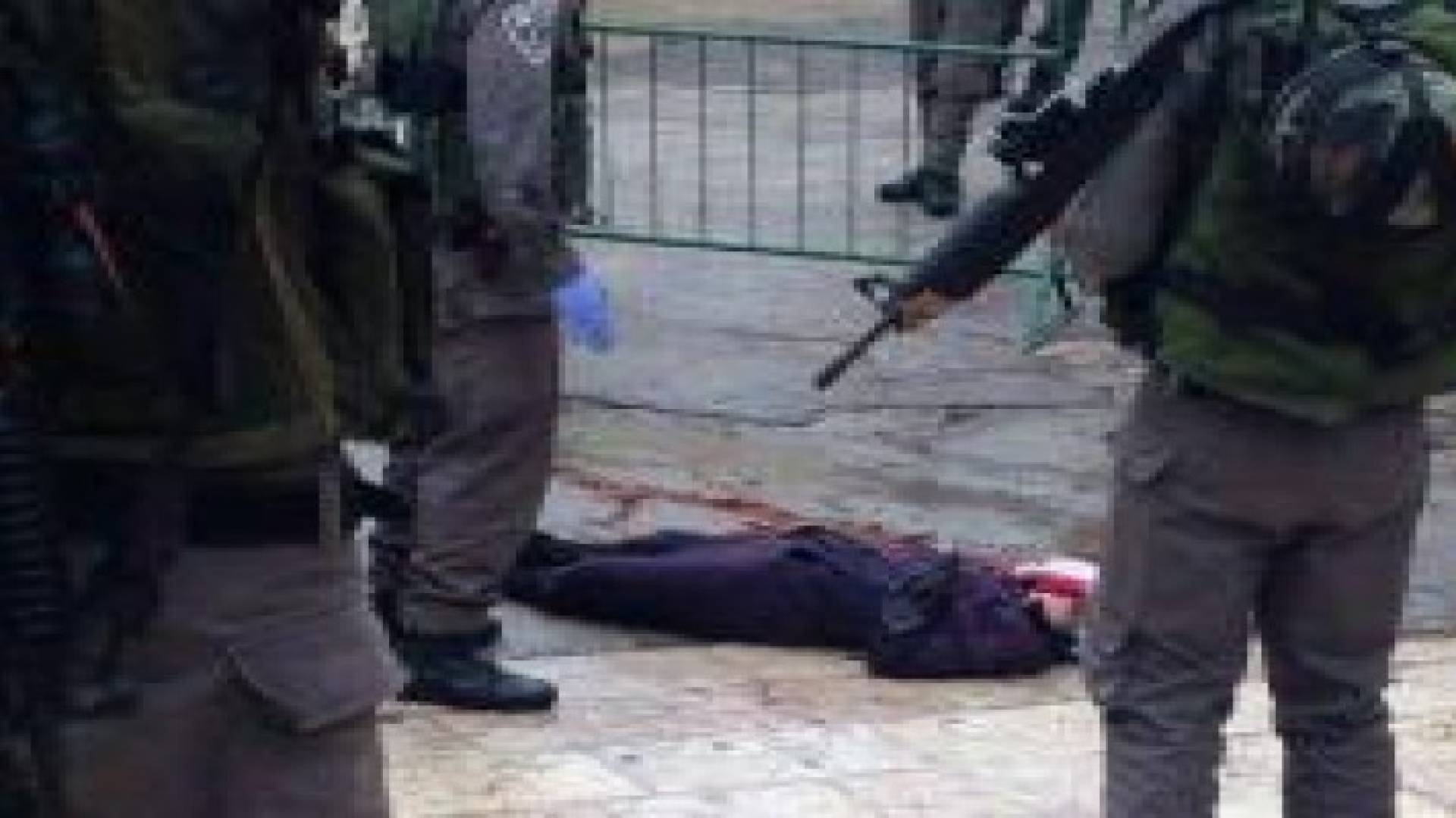 بالفيديو: الاحتلال يعدم فتاة بالخليل بزعم محاولتها تنفيذ عملية طعن