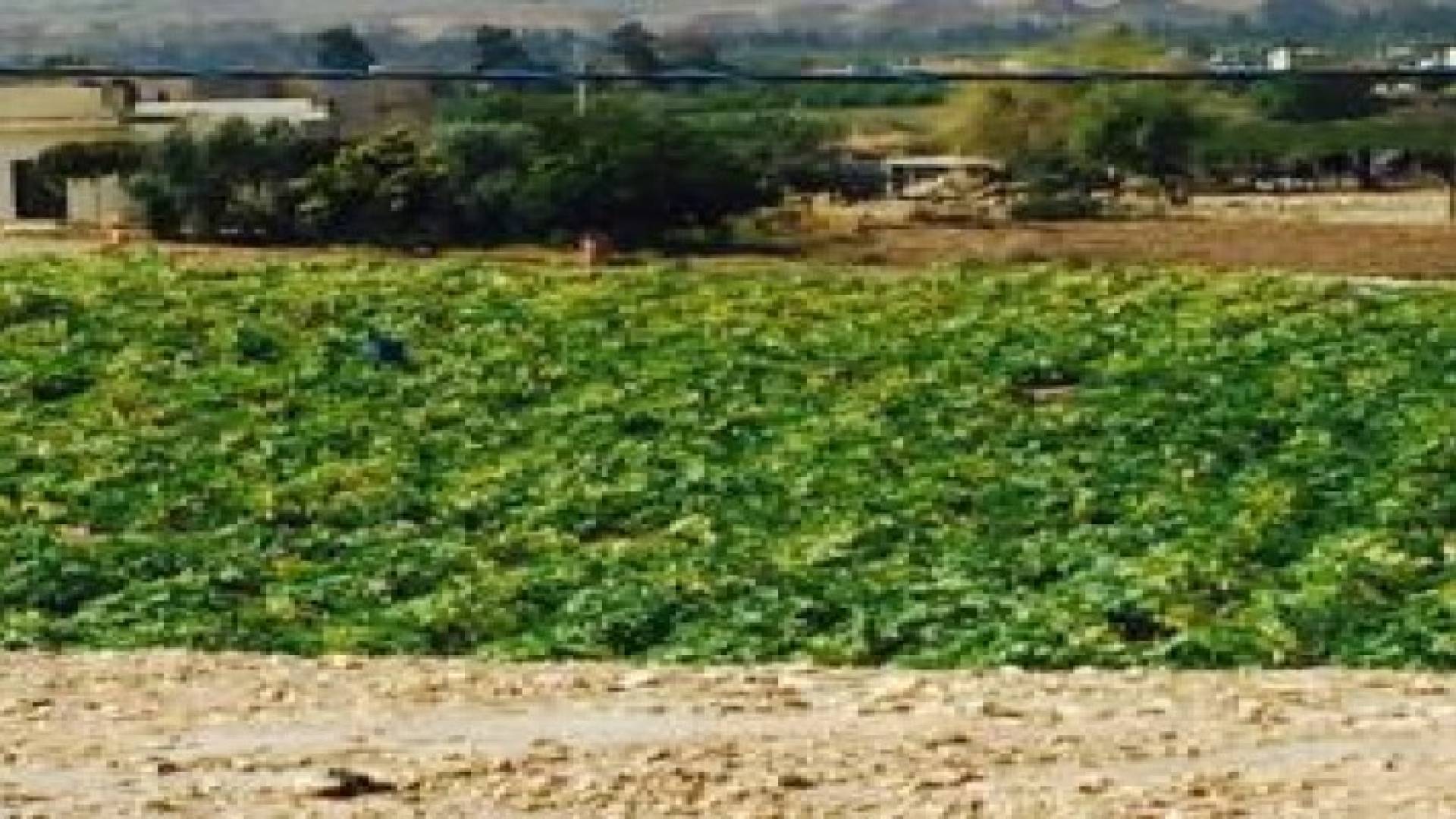 وادي الأردن: 380 دونم لحقت بها الأضرار نتيجة السيول