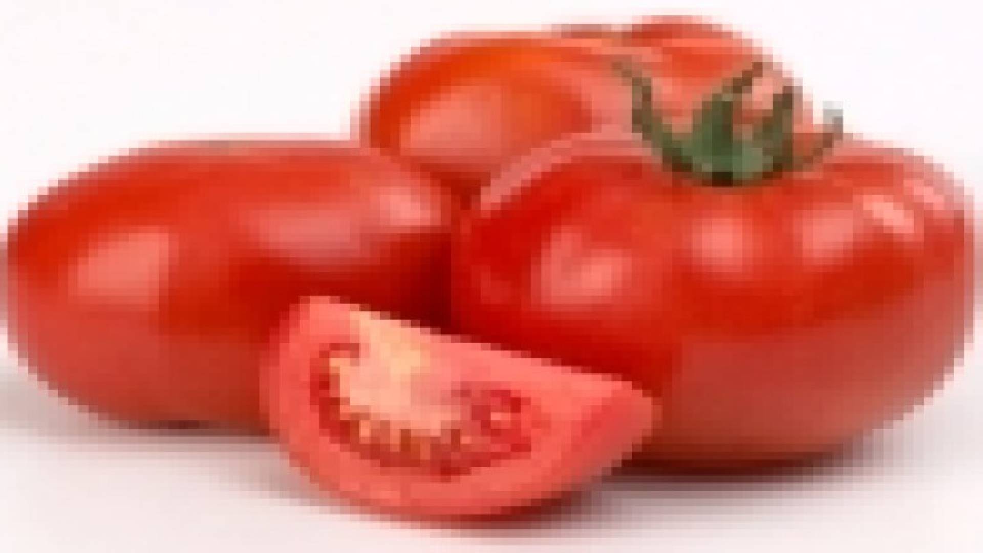 إنتاج طماطم لعلاج الأمراض