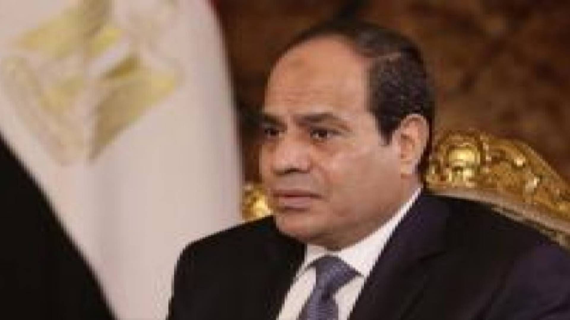 السيسي: تحقيقات الطائرة الروسية قد تستغرق شهورا