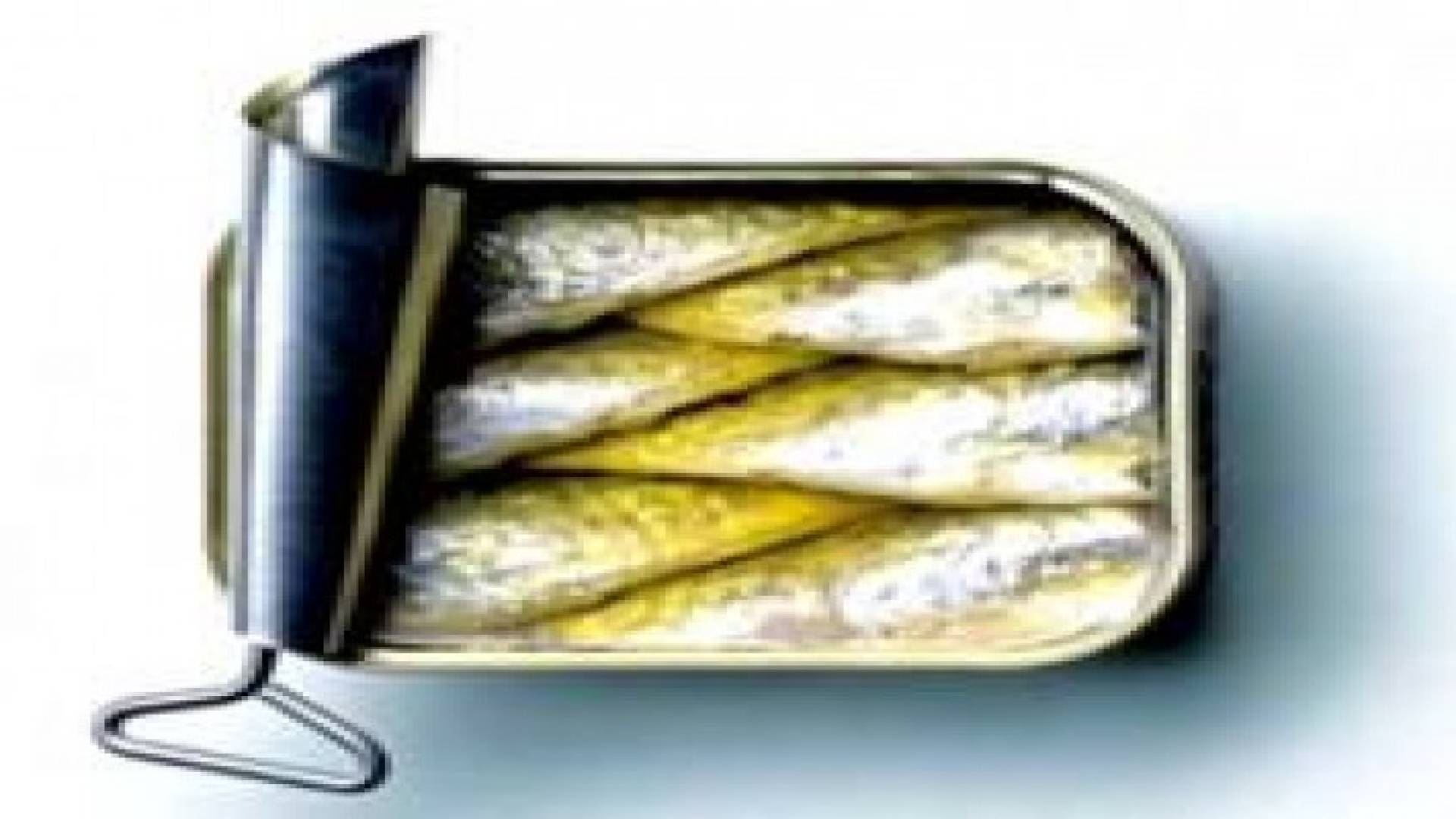 ضبط 10 الآف كرتونة "سردين" فاسد في عمان