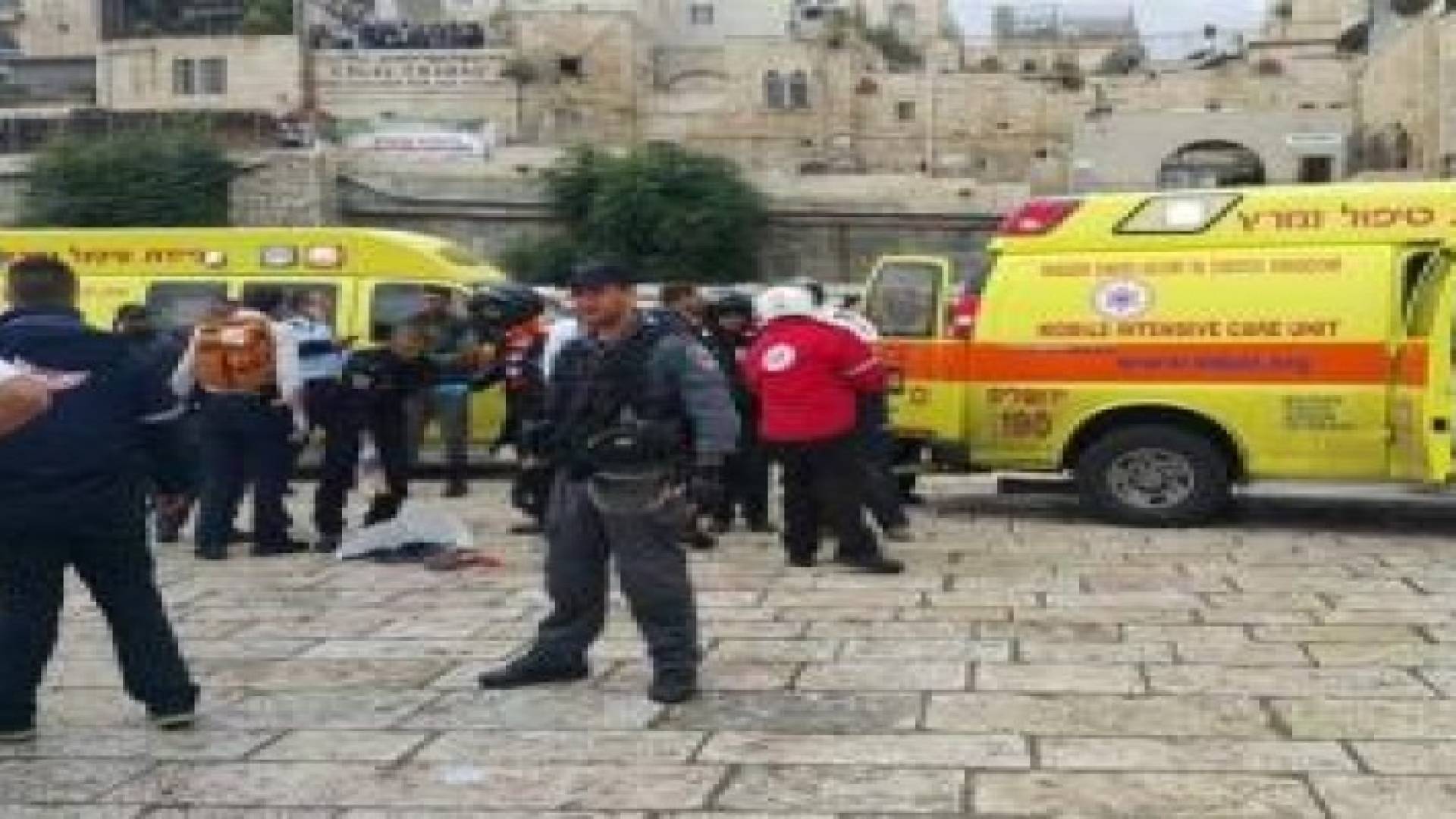 إصابة 3 مستوطنين في "تل أبيب" بعد تعرضهم للطعن