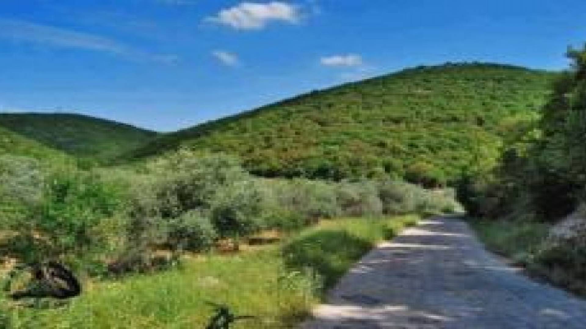 اعتداء على ارض حرجية في سحاب والزراعة تزيل الاعتداء