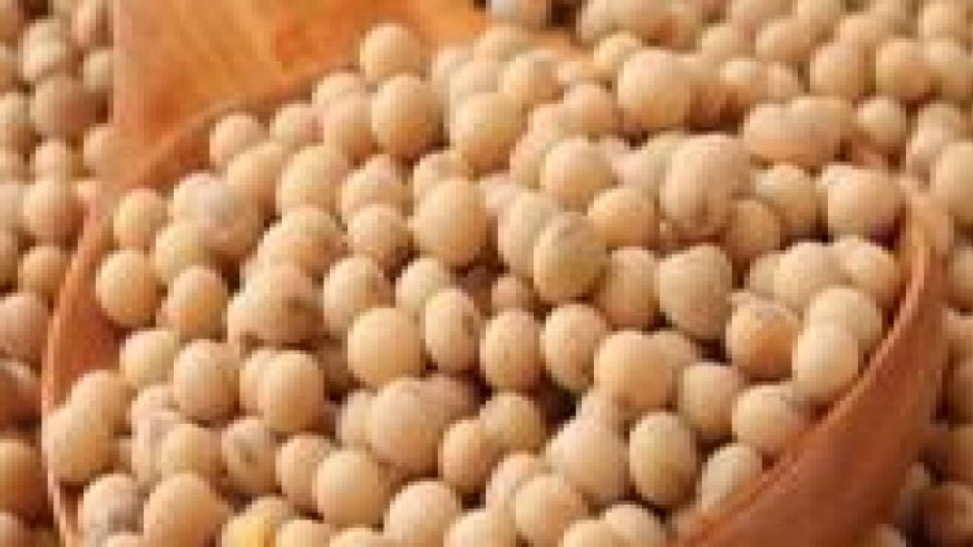 الصويا تحمي من هشاشة العظام