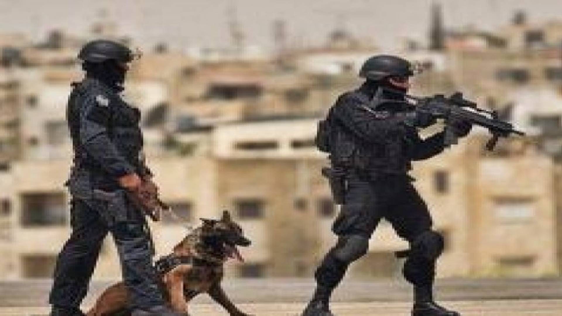 "المخدرات " تلقي القبض على احد المطلوبين بحوزته مخدرات واسلحة