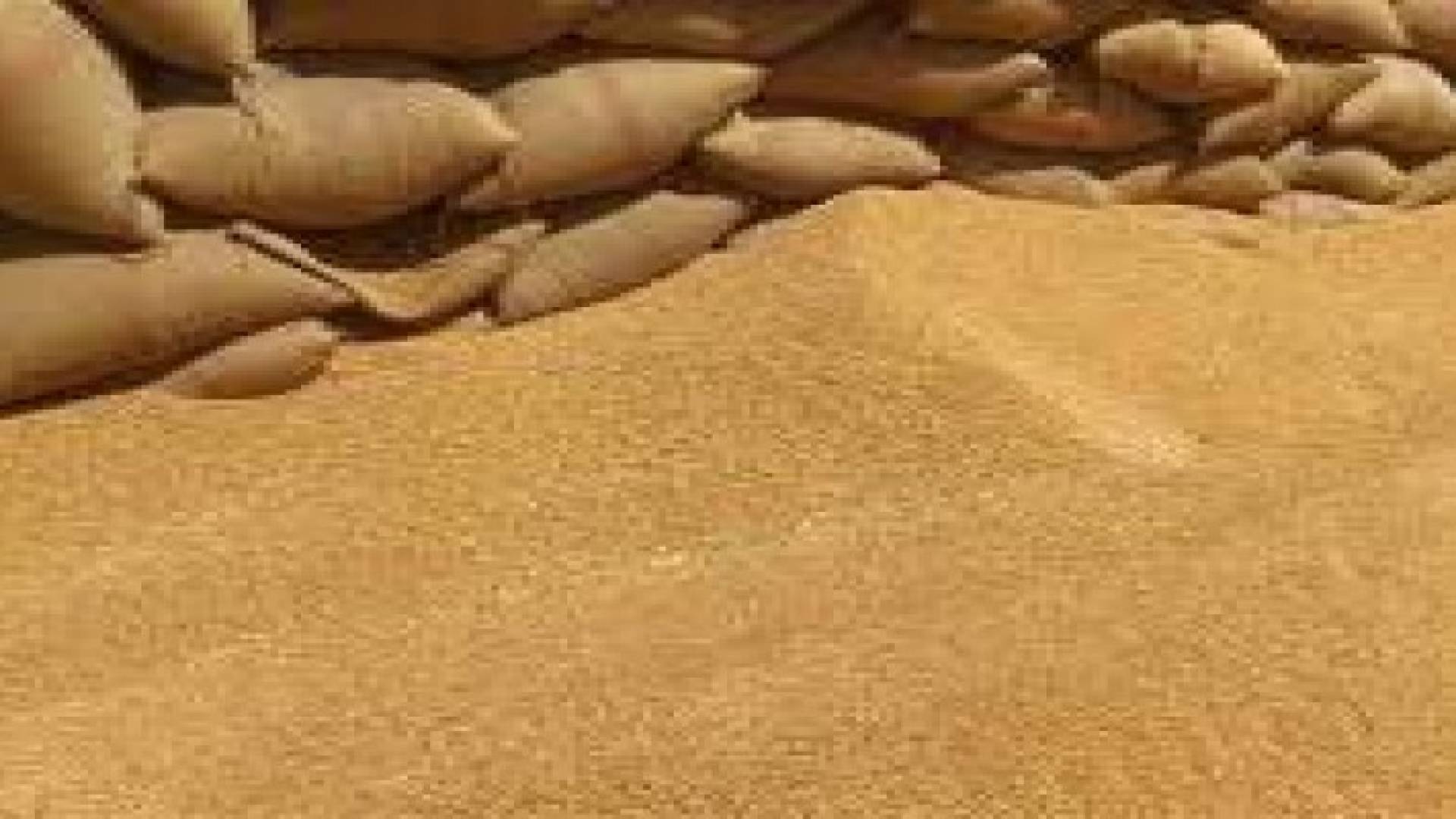 الرأي: مصدر يؤكد فشل شراء عطاء القمح للمرة الرابعة والسبب الشروط الصارمة