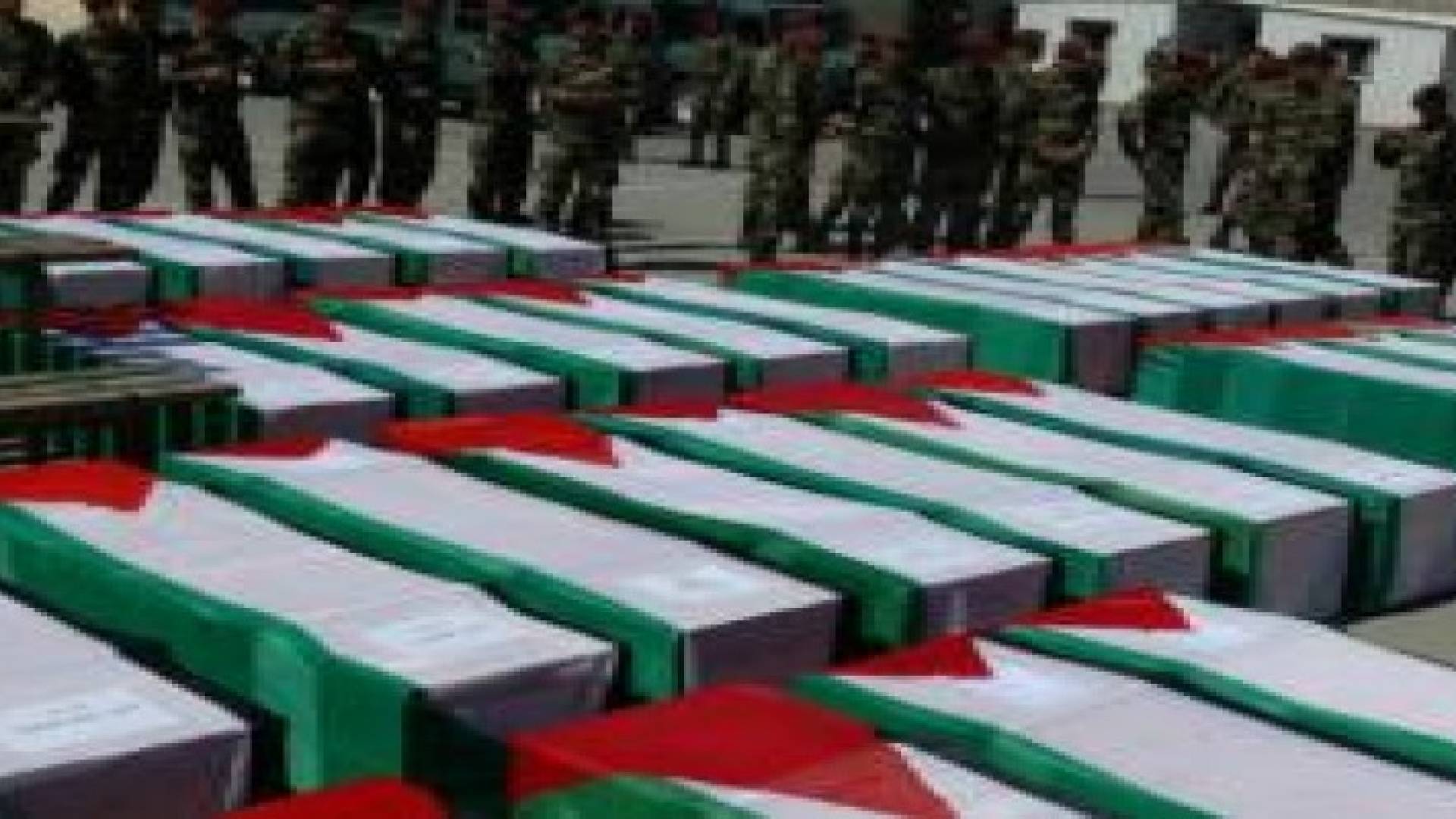 الاحتلال يسرق أعضاء الشهداء الفلسطينيين