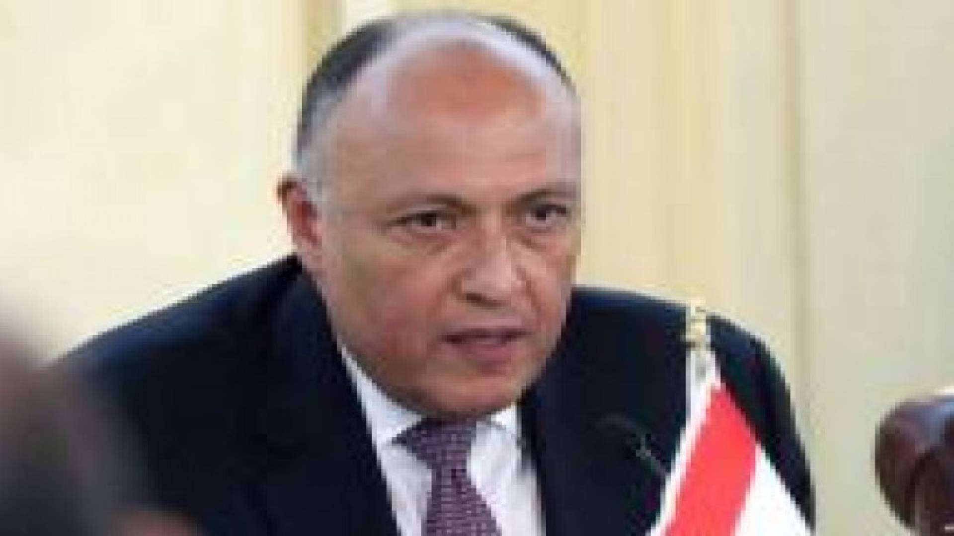 وزير الخارجية المصري: تحذيراتنا من الإرهاب لم يؤخذ بها من قبل أطراف تحاول الآن حماية مصالح مواطنيها