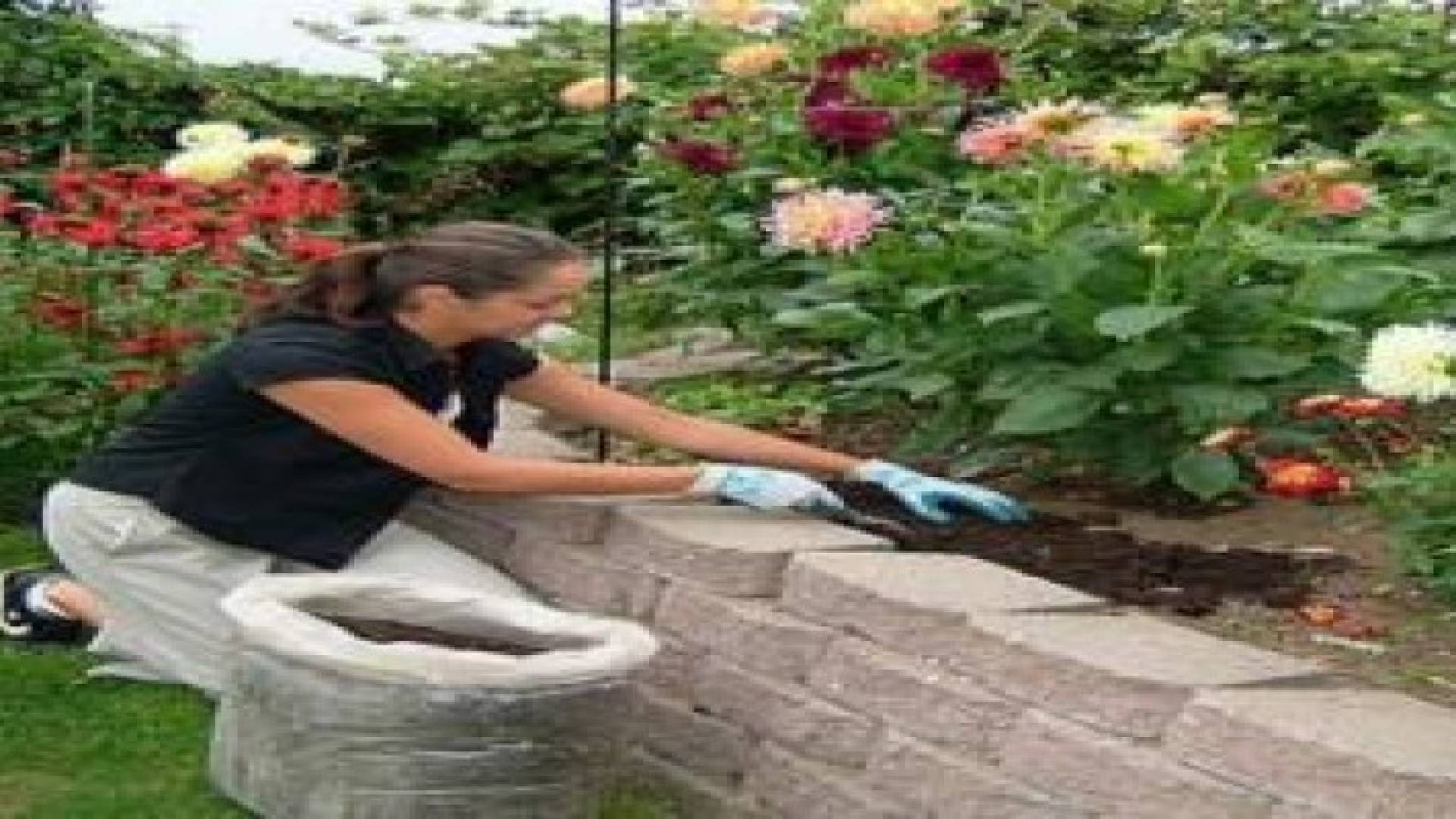 البستنة ! نصف ساعة أسبوعيا تفيد ذهنك وجسمك