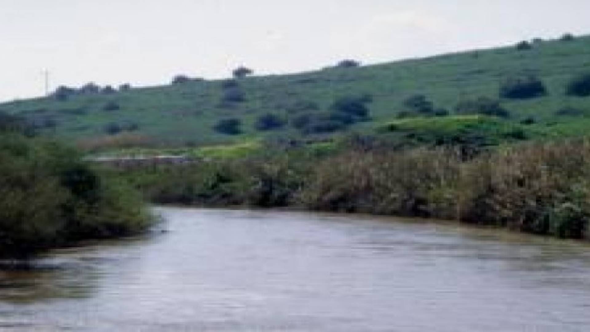 تحرك إسرائيلي لإقامة جسر بين ضفتي نهر الأردن