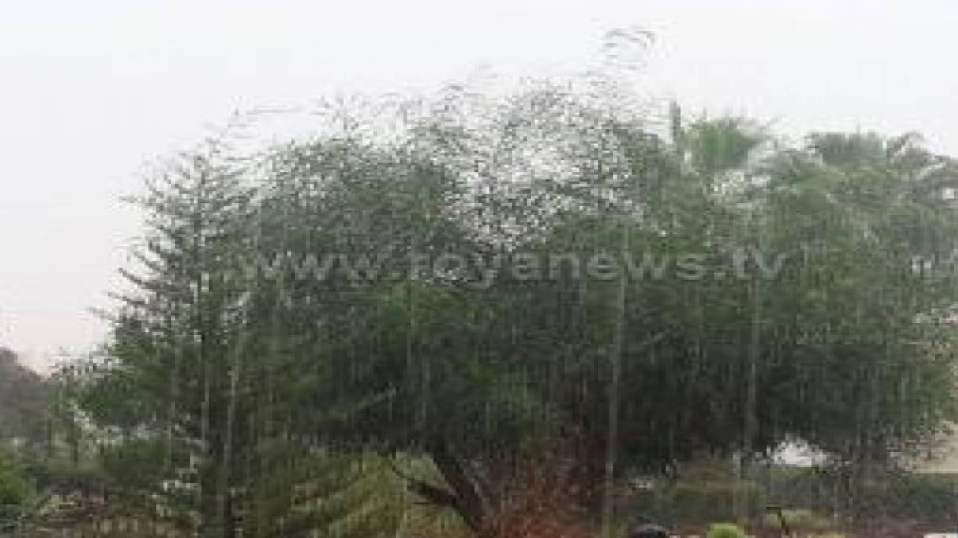 بالصور: العاصمة عمان تشهد تساقطا غزيرا للأمطار