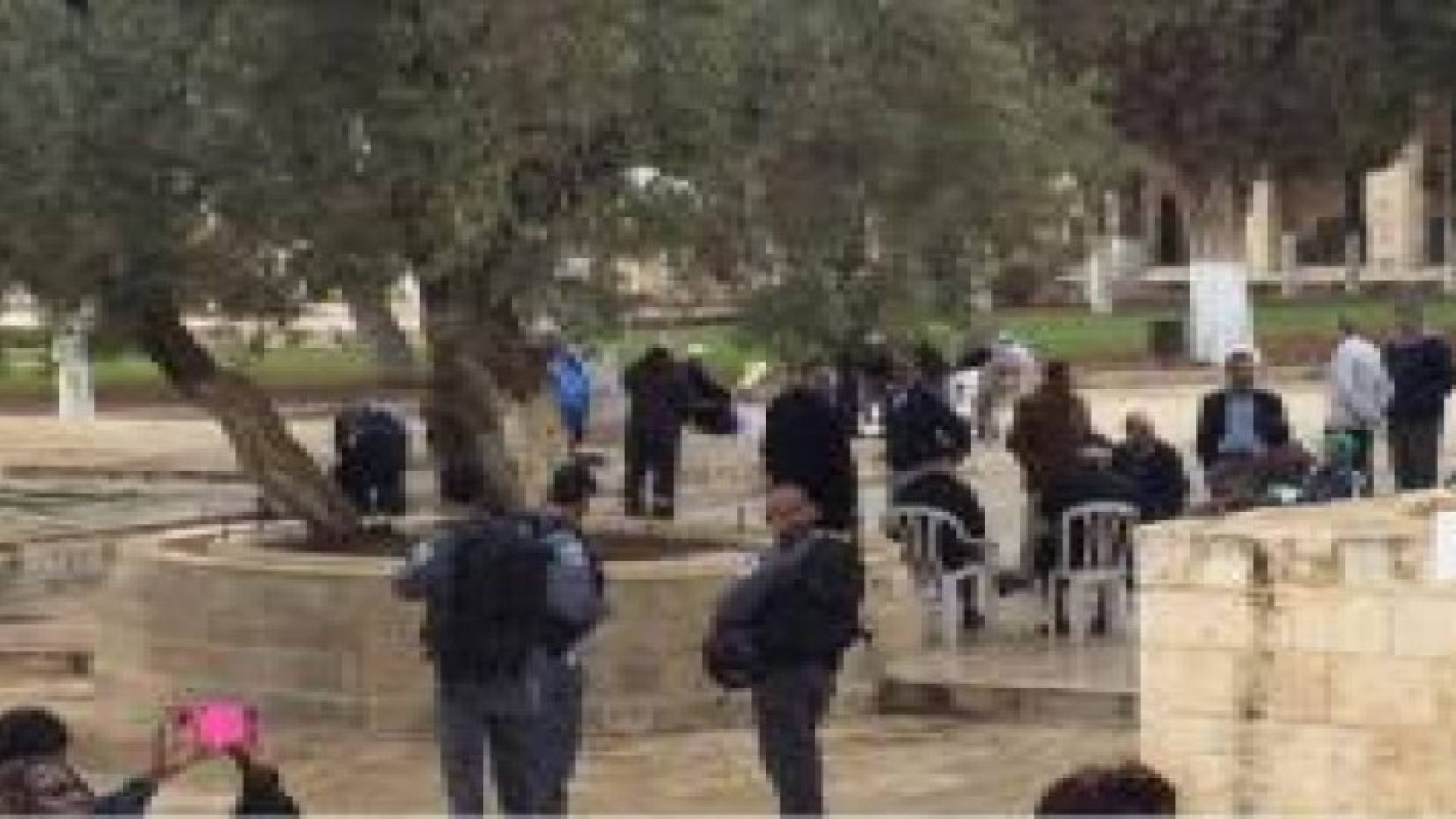 مستوطنون يقتحمون الأقصى ومحاولة أداء طقوس تلمودية