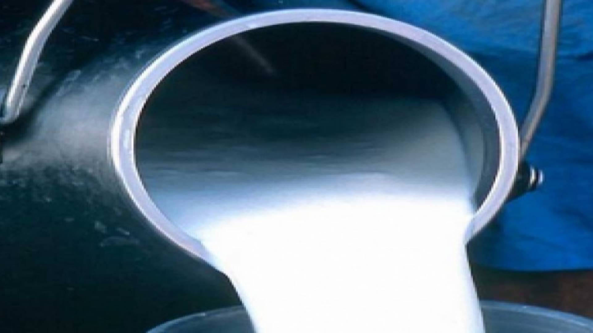 إتلاف 500 كيلو غرام حليب بقري في مادبا