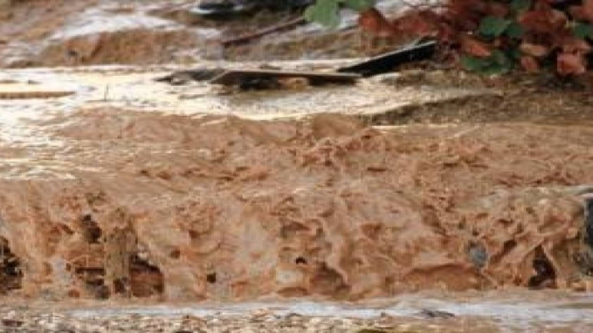 السيول تداهم 16 منزلا في الاغوار