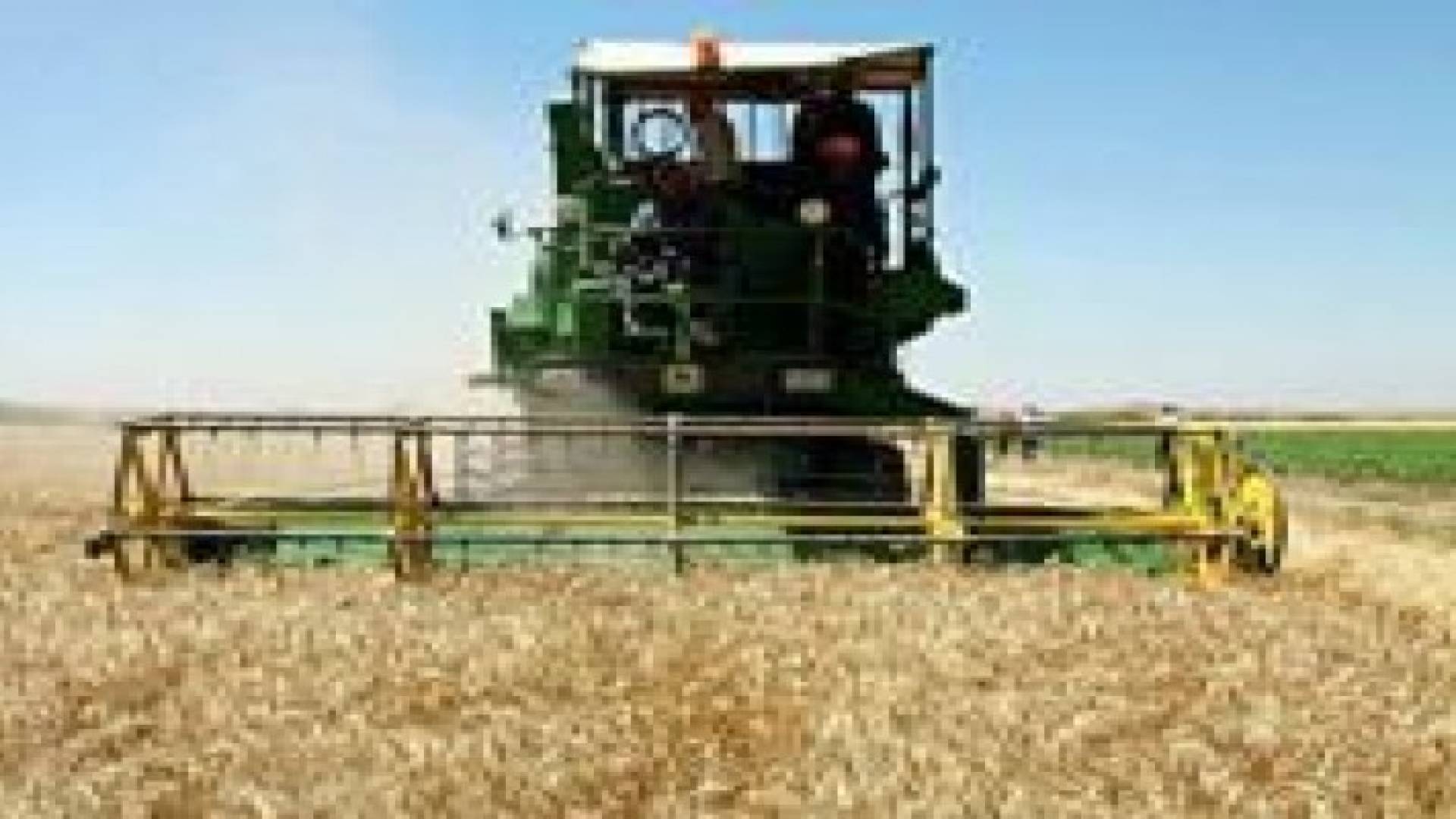 الزراعة: ايجار آليات زراعة القمح والشعير دينار لكل دونم