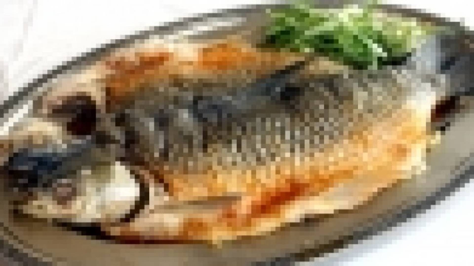 تناول الأسماك يقلل احتمال سرطان القولون