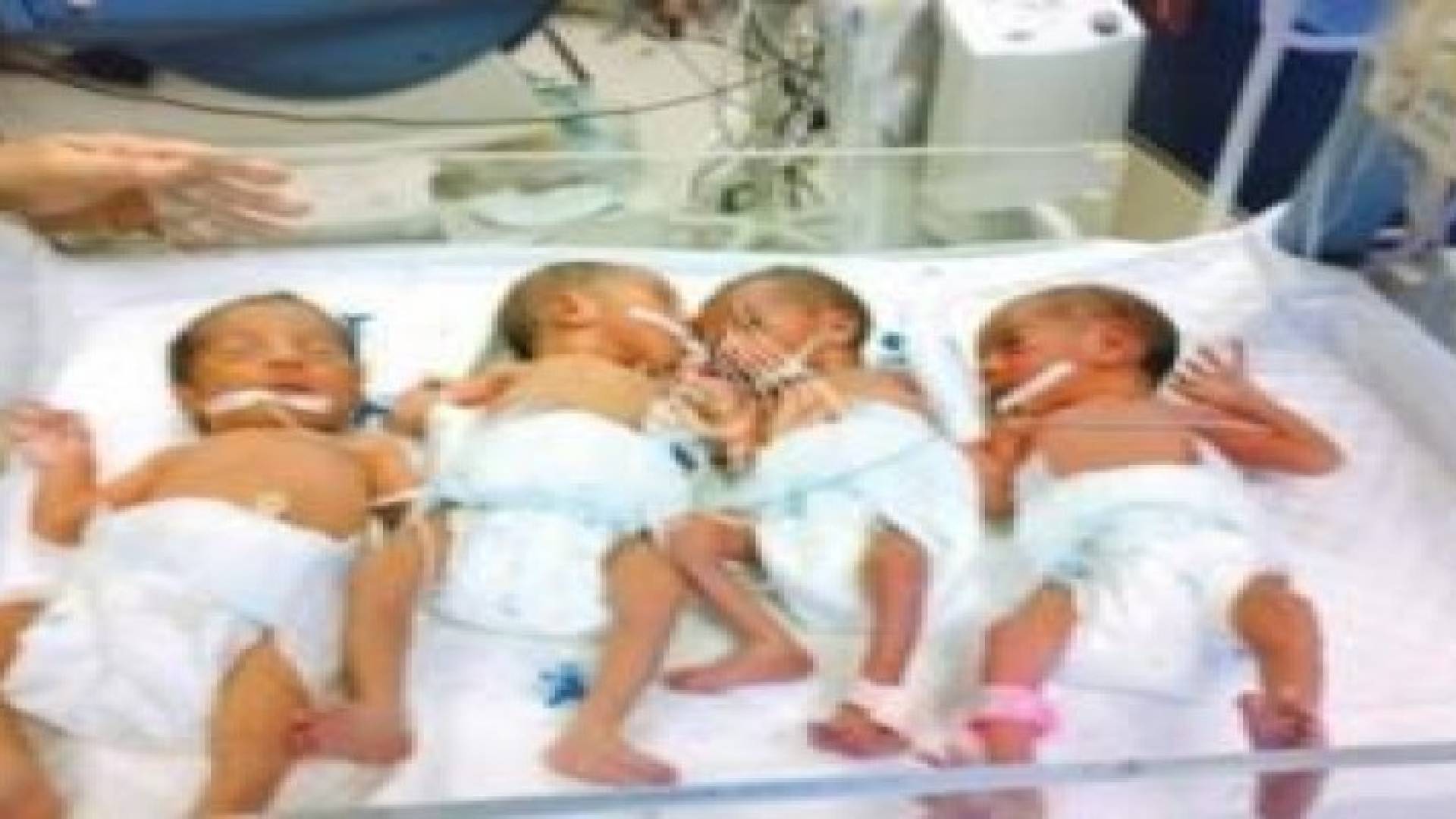 148 مولودا في قطاع غزة يوميا