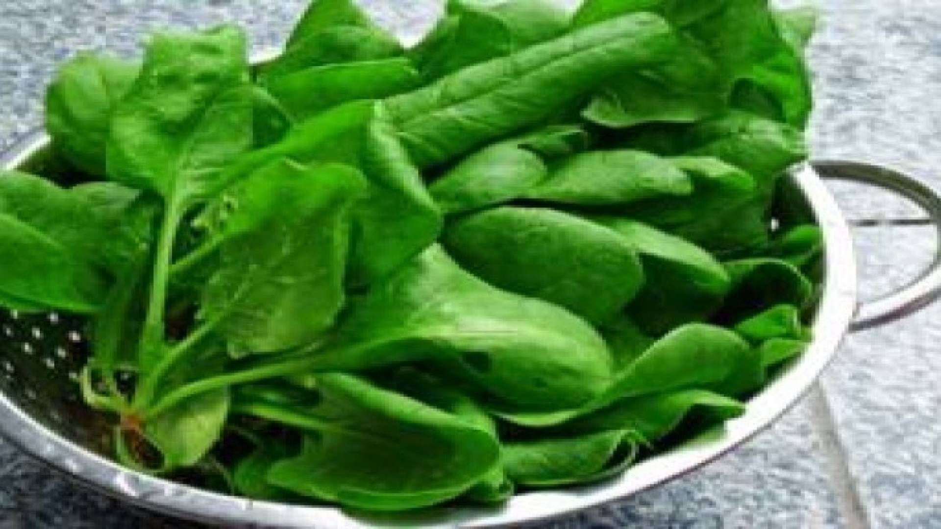 السبانخ تكبح الشغف بالطعام