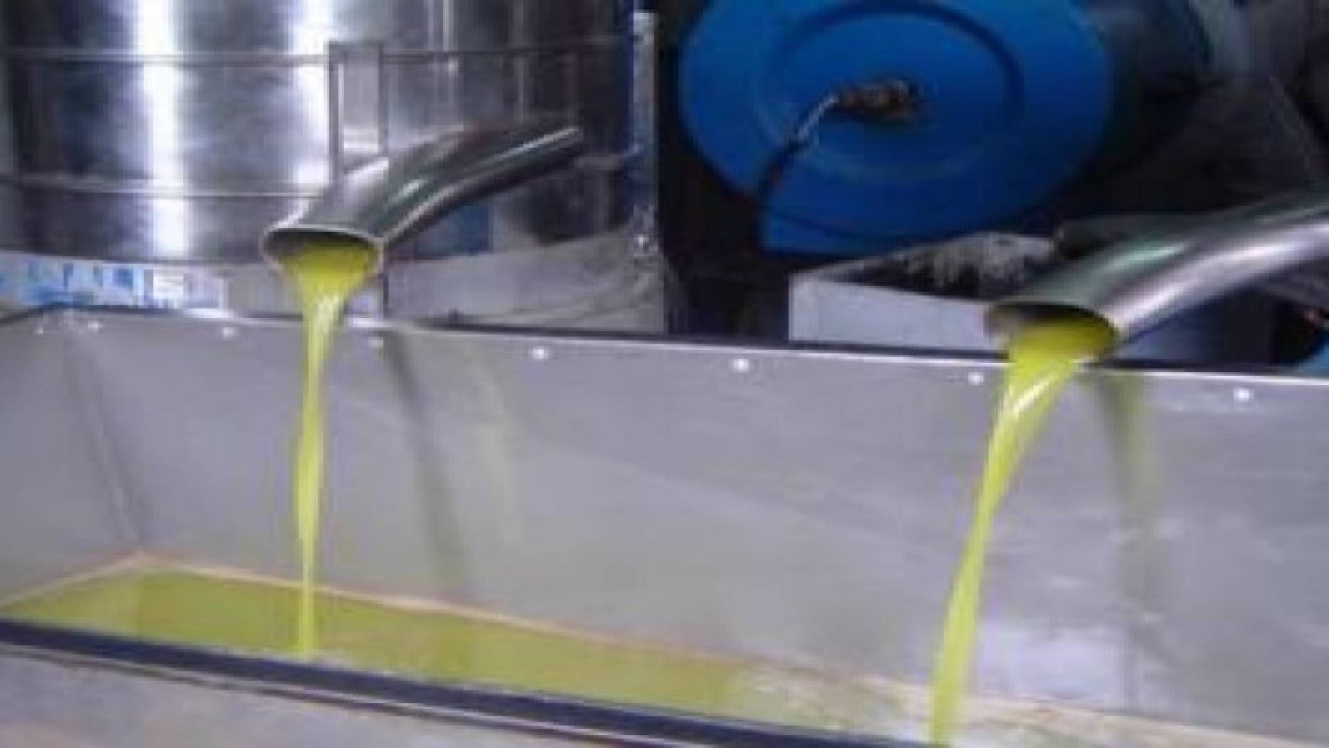 إغلاق إحدى معاصـر الزيتون وإتلاف مواد غذائية في مادبا