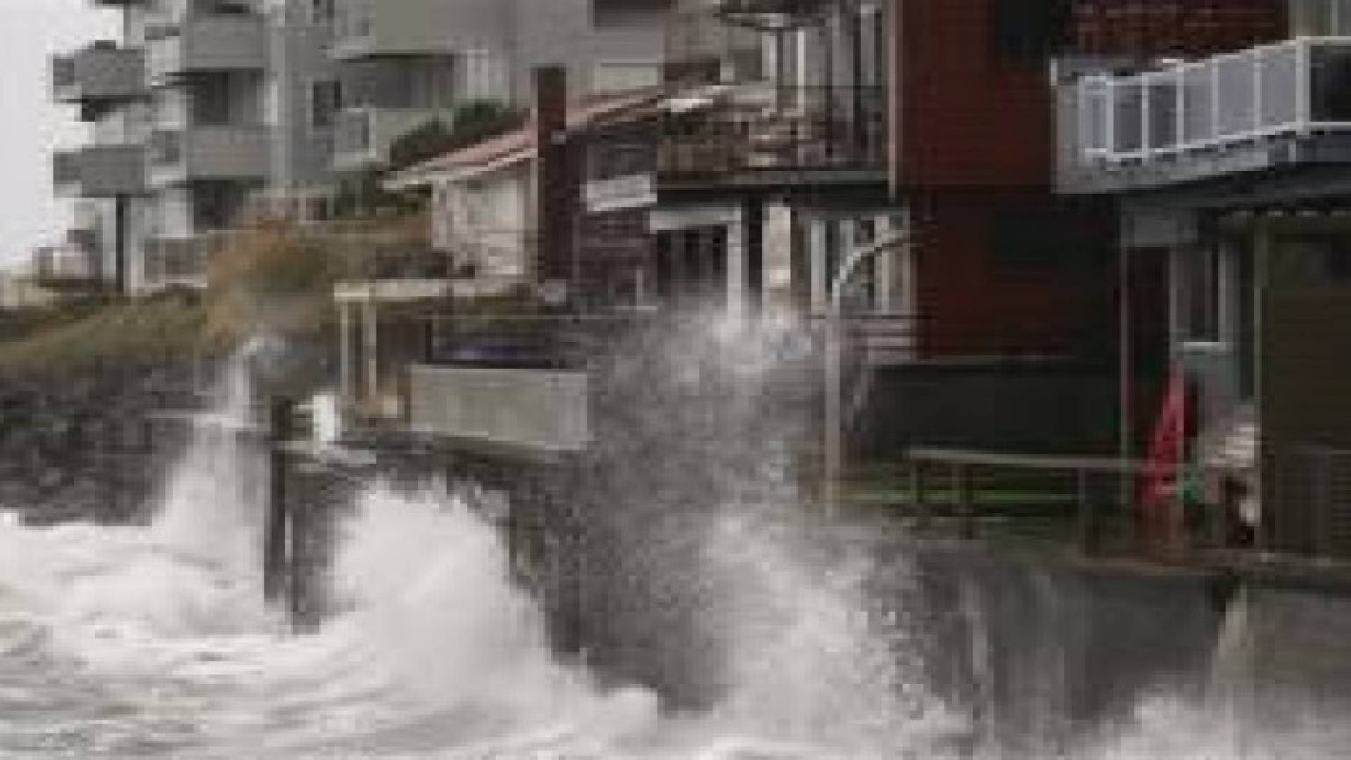 اميركا :عاصفة قوية تقطع الكهرباء عن سياتل