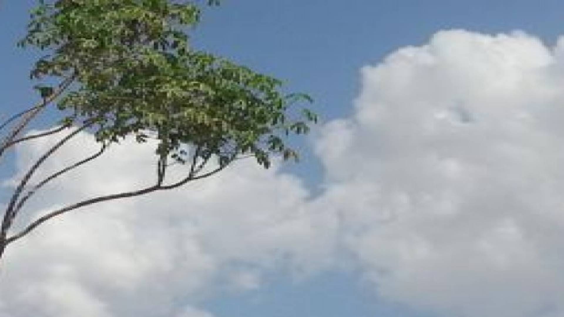 طقس الأسبوع الحالي: أجواء باردة مستقرة واستمرارية لهبوب رياح شرقية