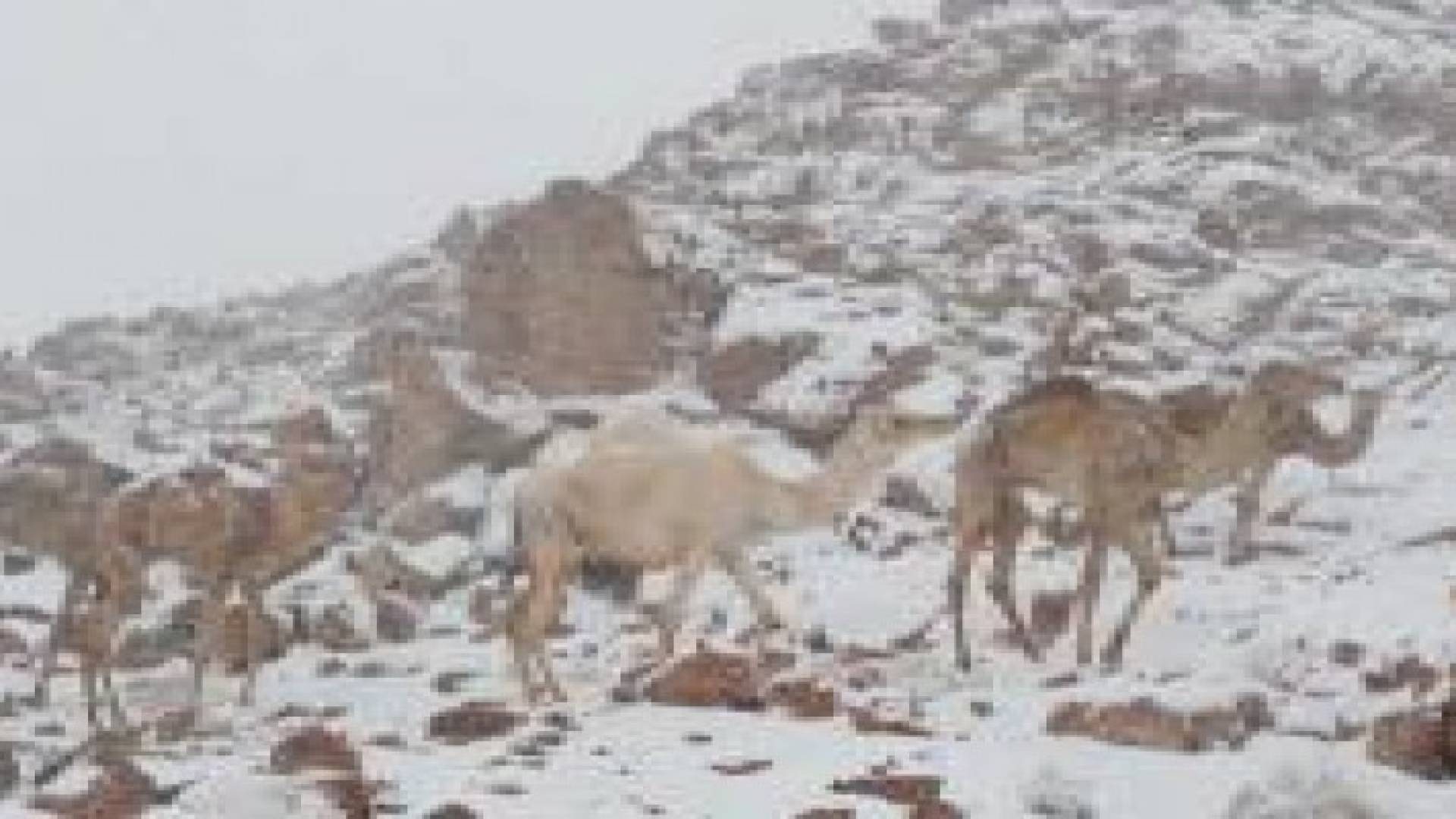 عالم روسي: الأرض بانتظار موجة برد تدوم 30 عاما